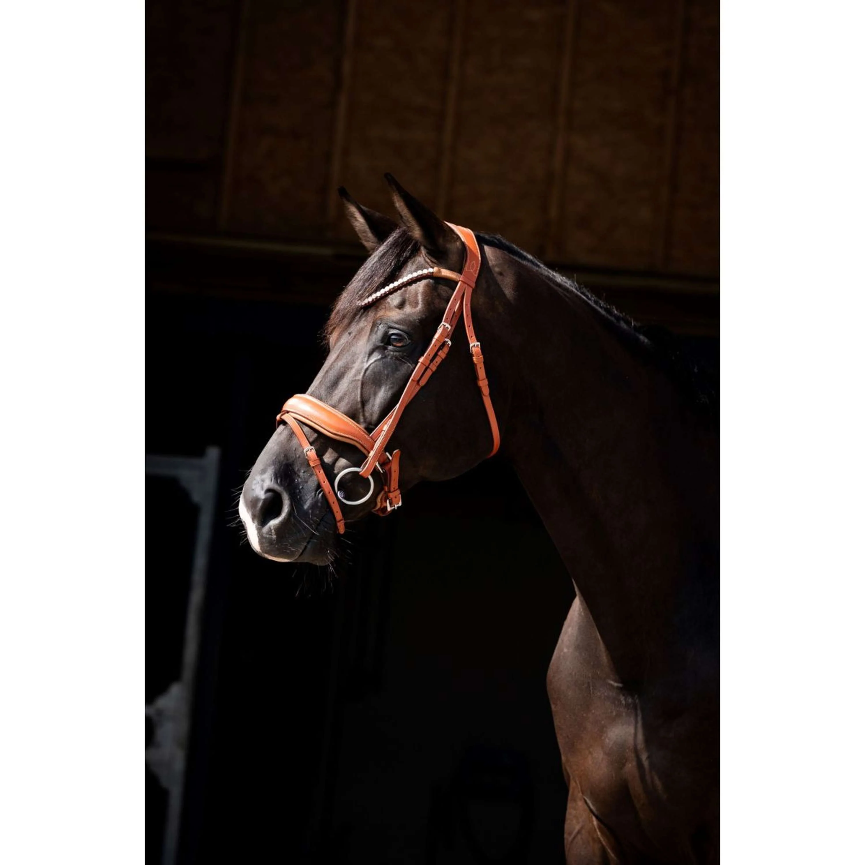 HB Showtime Zaum Chesnuth Cognac - Image 2