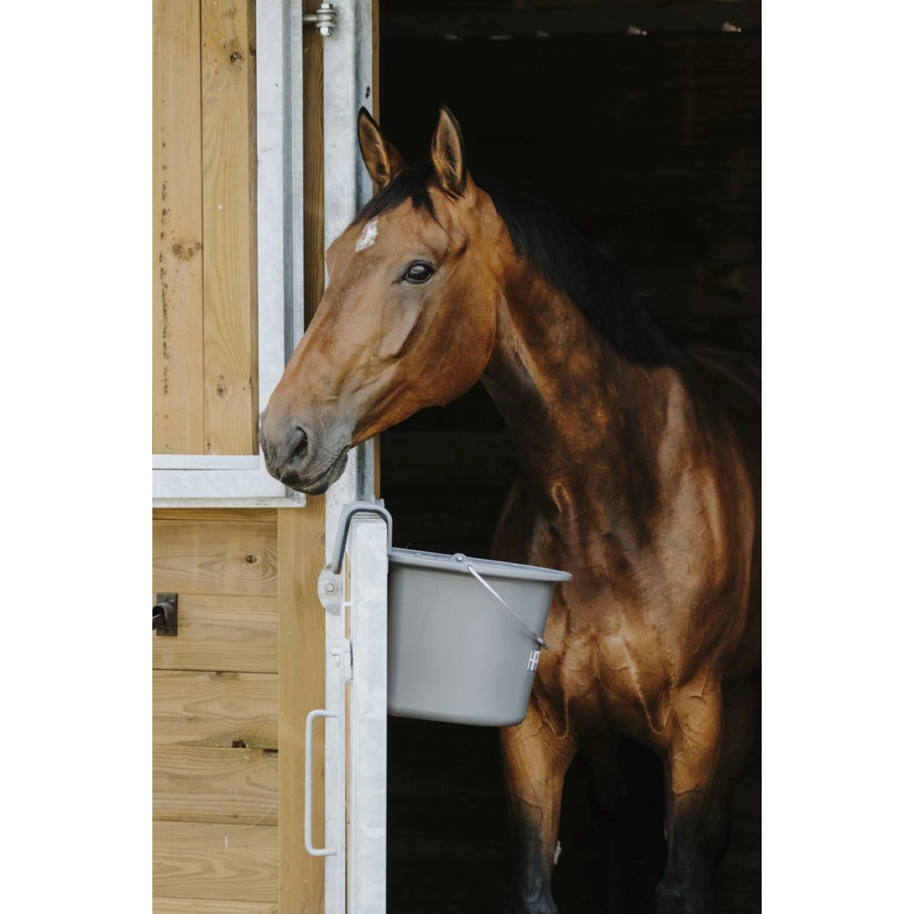 Hippotonic Futtertrog mit Henkel Dunkelgrau - Image 7