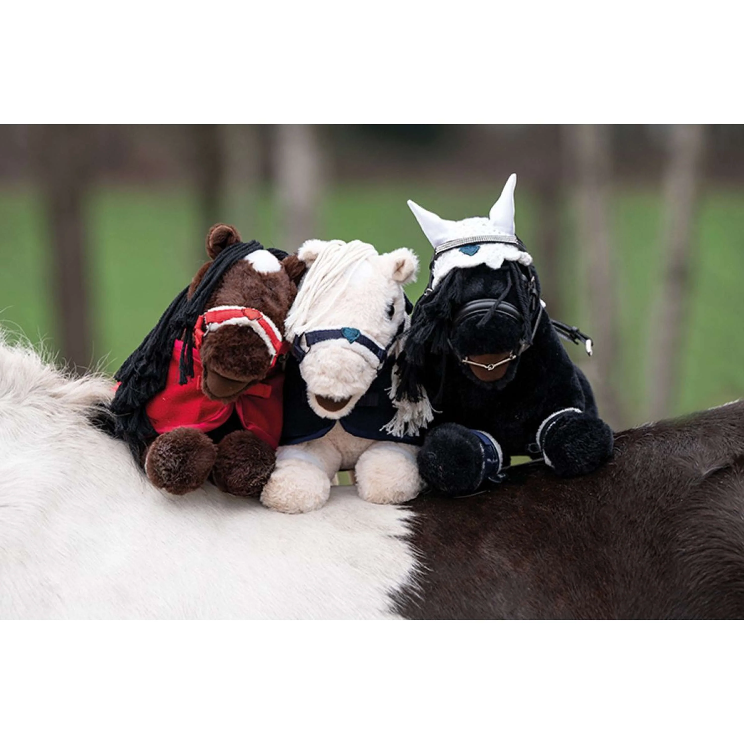 HKM Cuddle Pony Hellbraun - Image 4