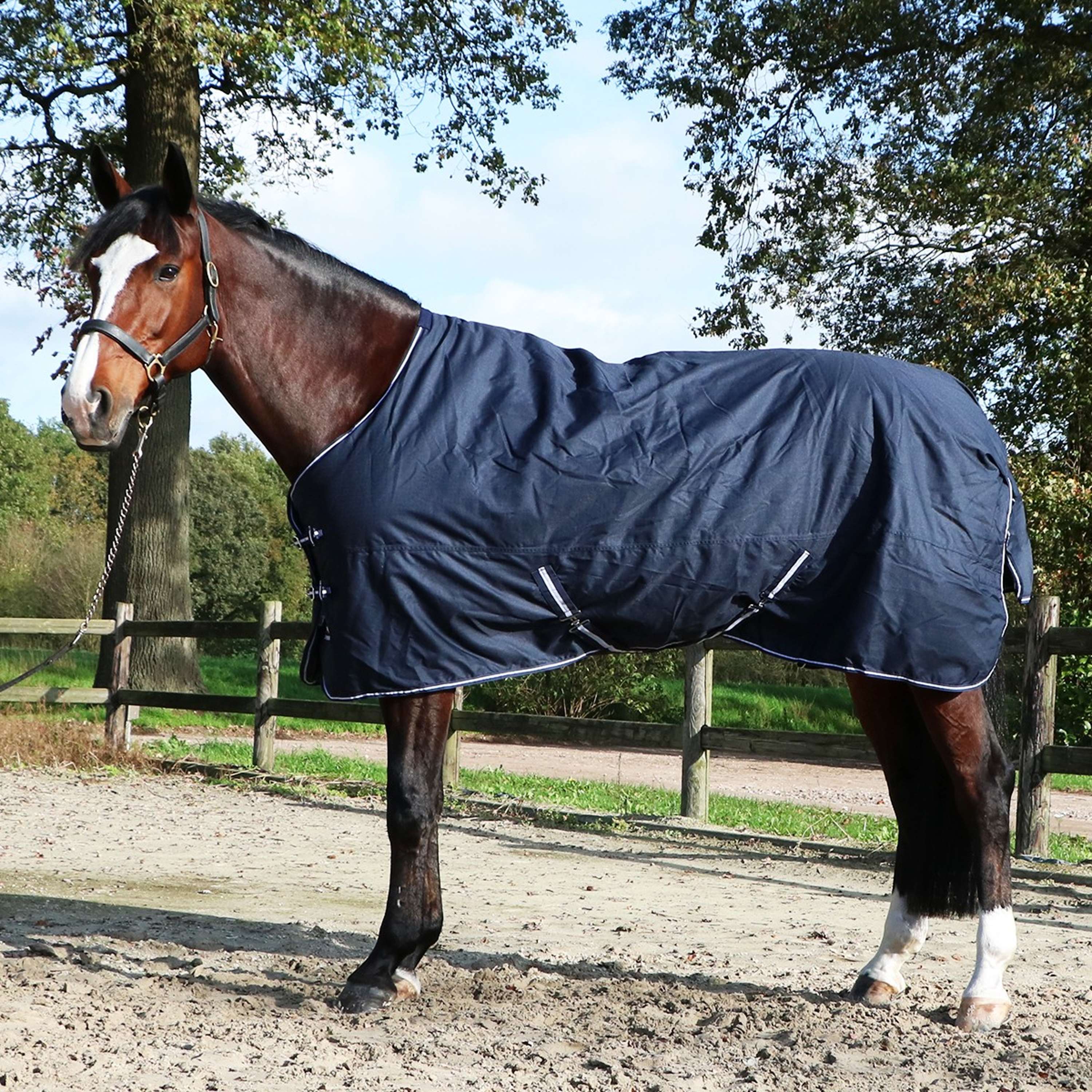 HKM Weidedecke Economic Winter 250g Dunkelblau - Image 9