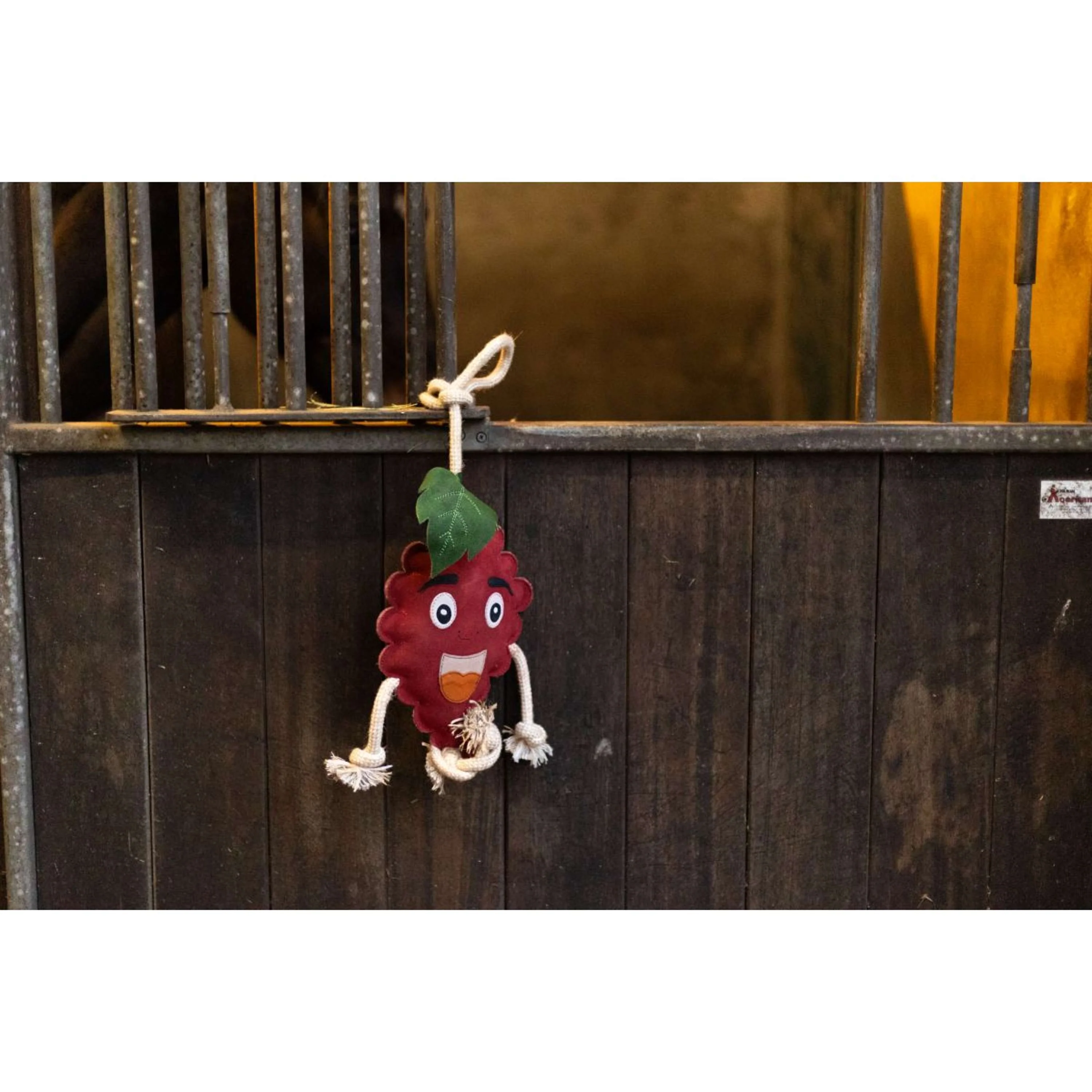 Excellent Horse Foodie Friends Himbeerrot - Image 2