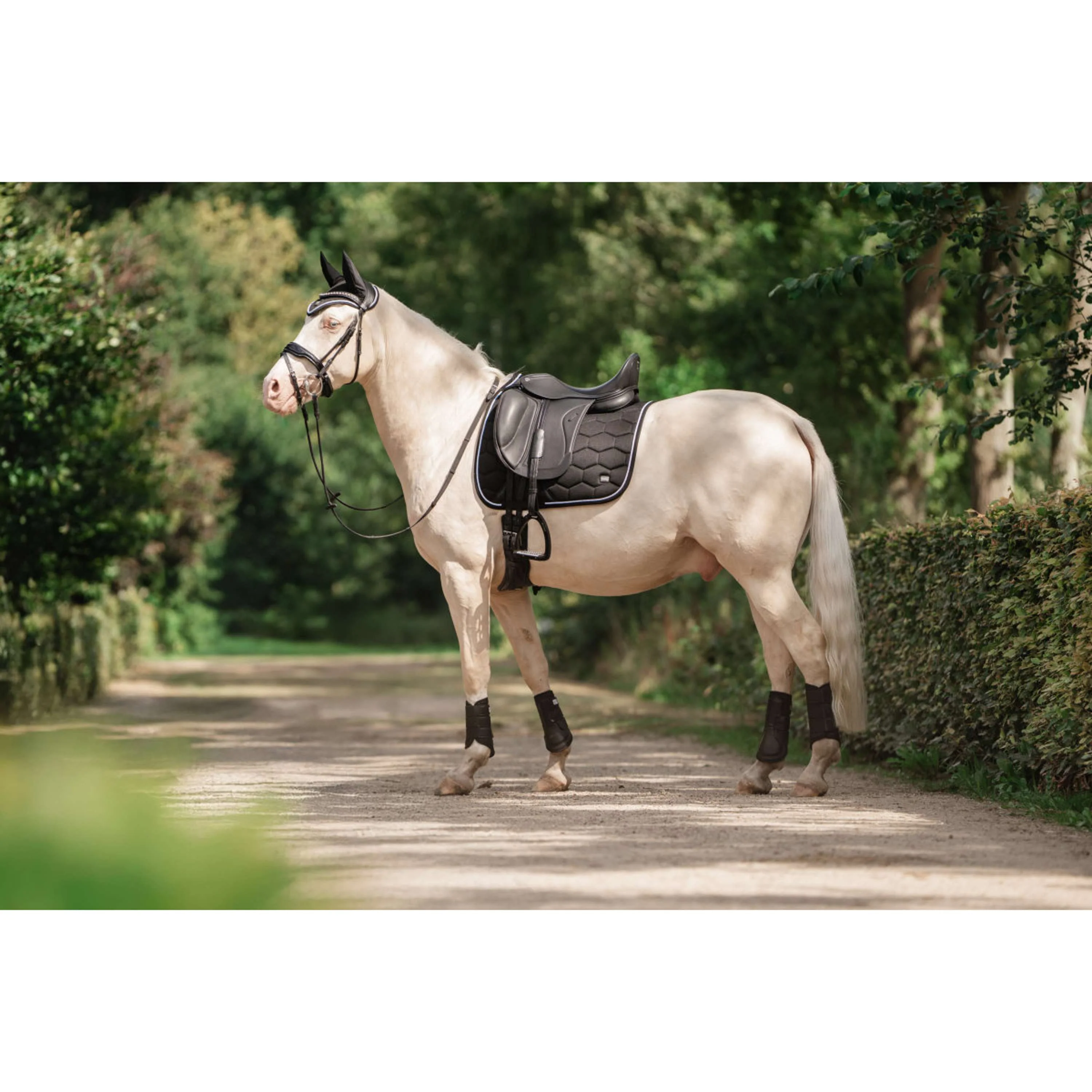 EQPRO Gamaschen Precious Schwarz - Image 2