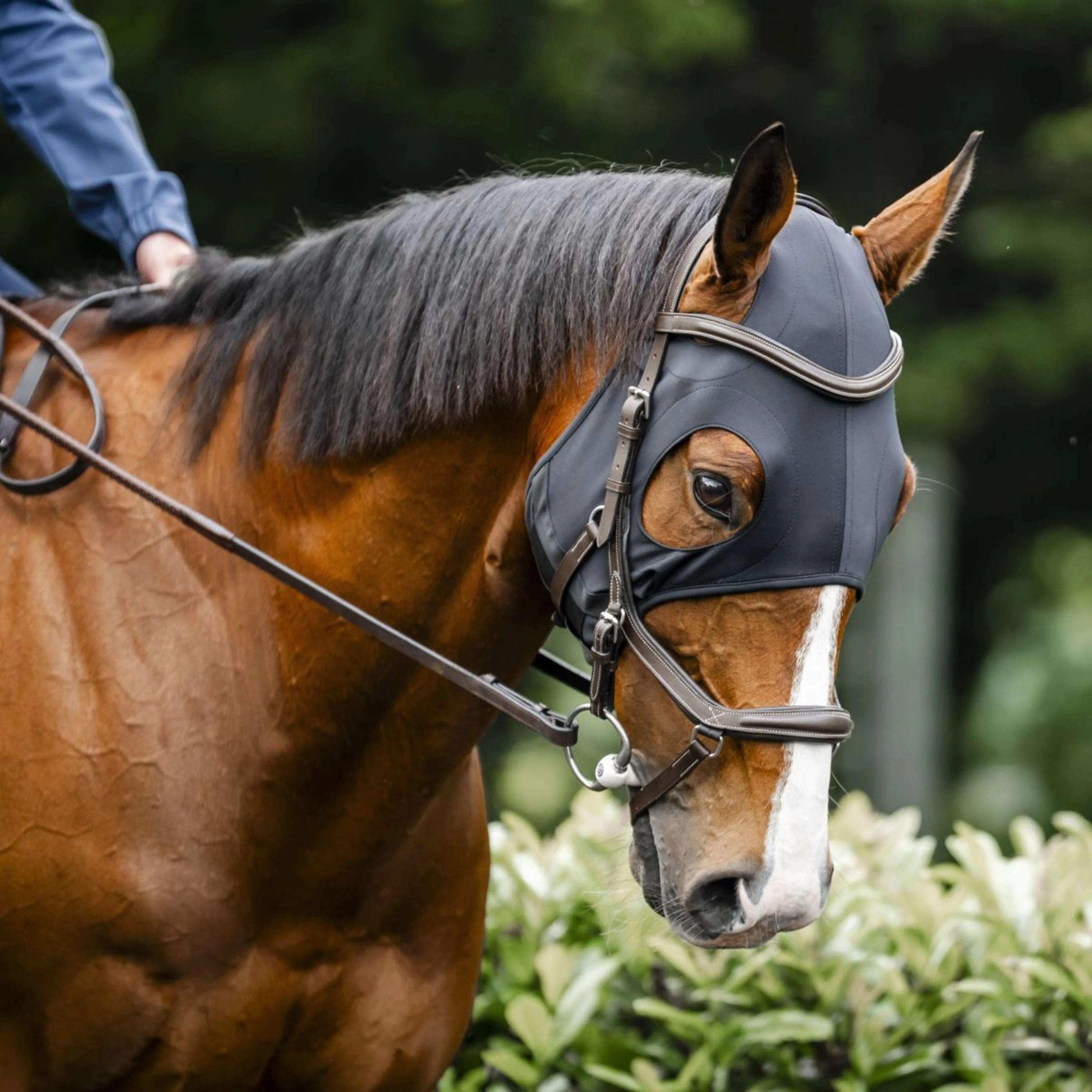 Horseware Calming Face Mask Ionic Schwarz - Image 3
