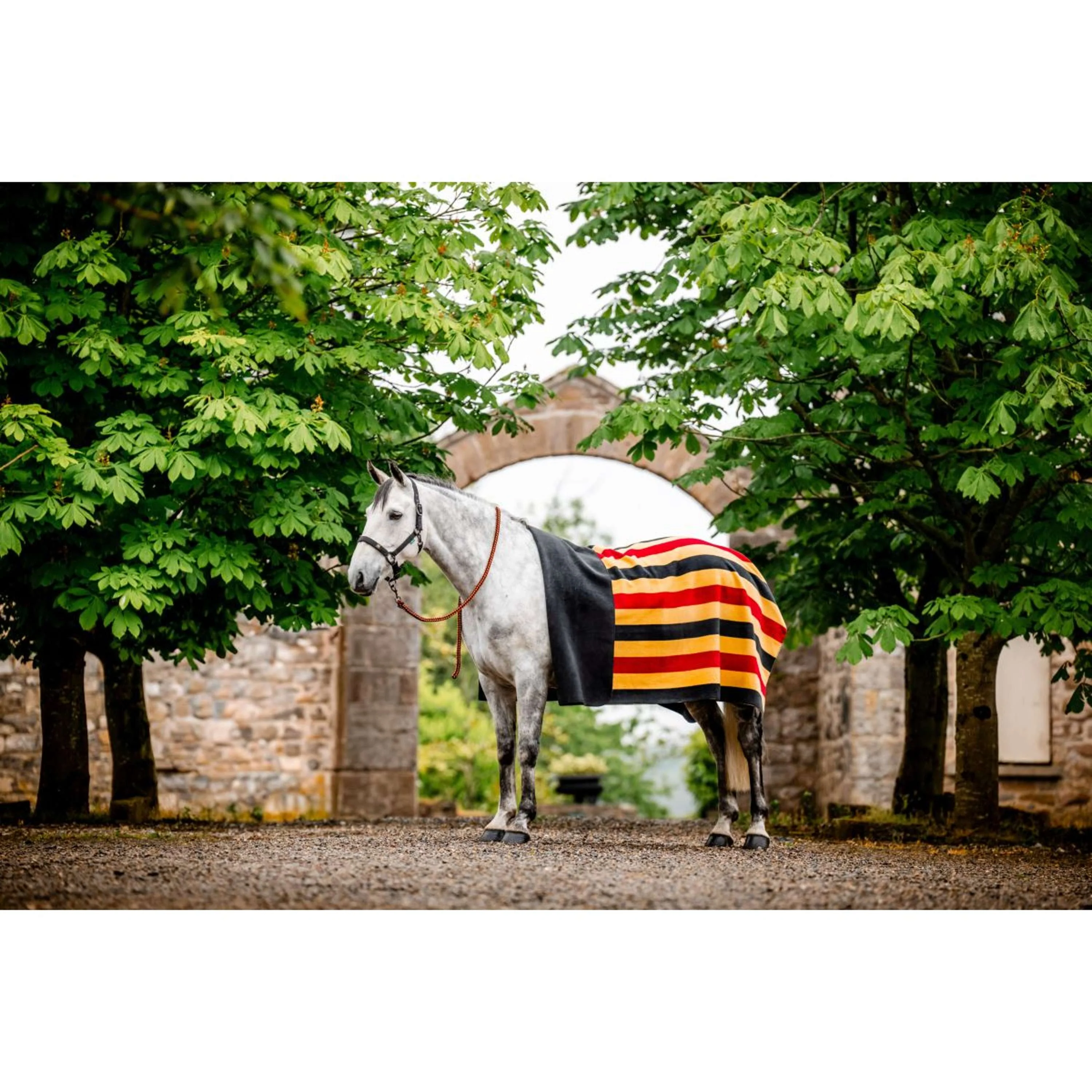 Horseware Fleecedecke Newmarket Witney Gold