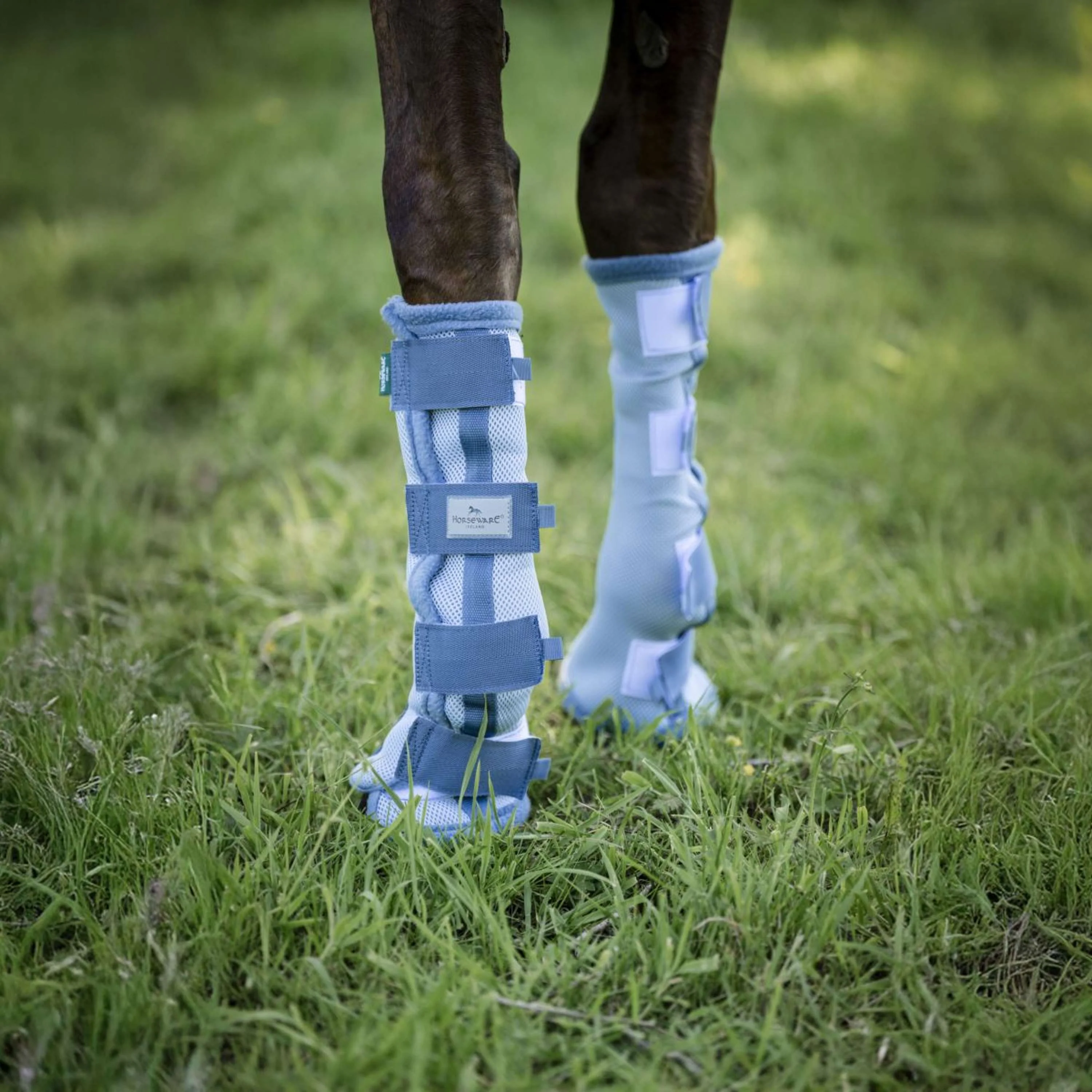 Horseware Fly Boots Set of 2 Heather Blue/Blue/Silver - Image 4