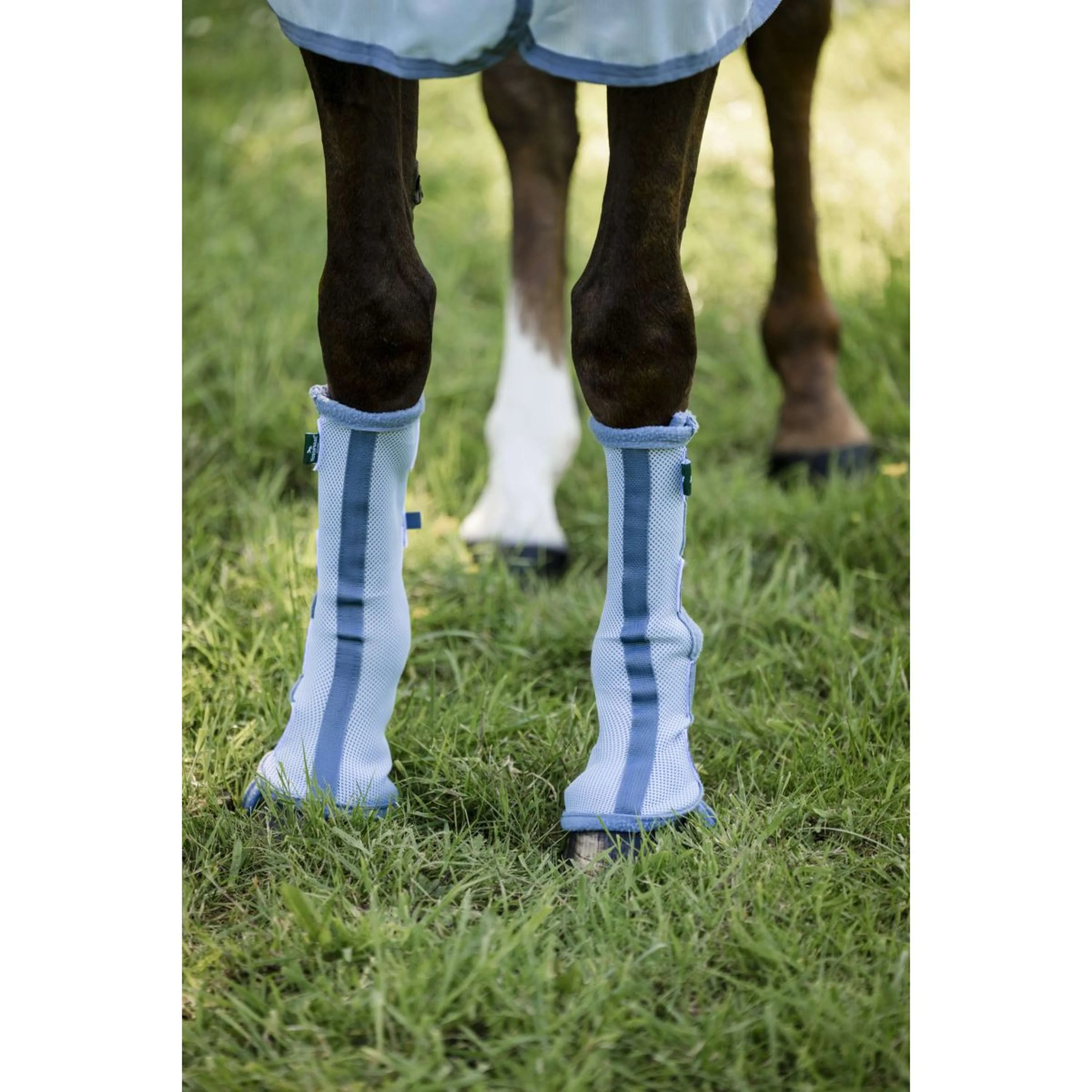 Horseware Fly Boots Set of 2 Heather Blue/Blue/Silver - Image 5