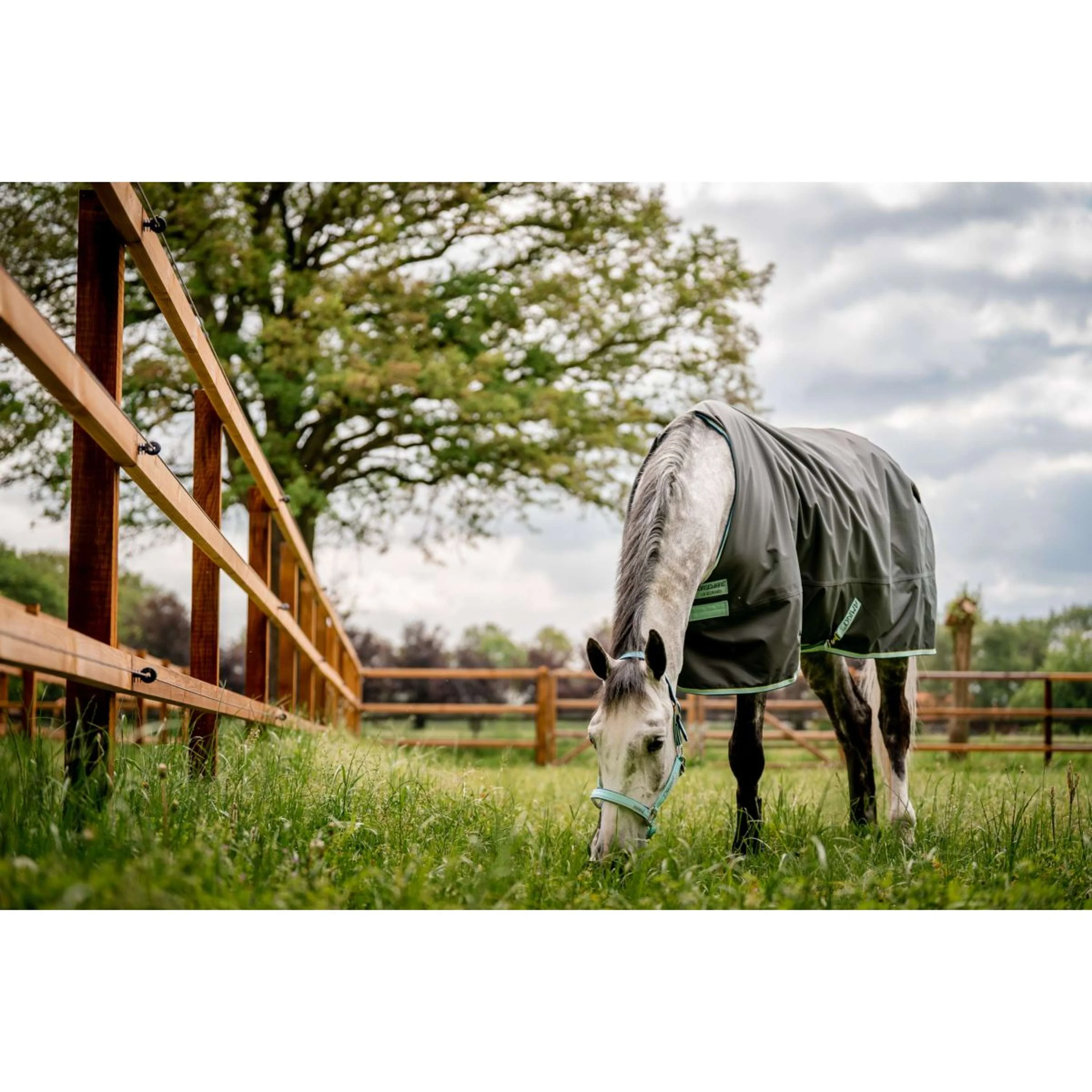 Horseware Halfter Field Safe Blue Haze - Image 2