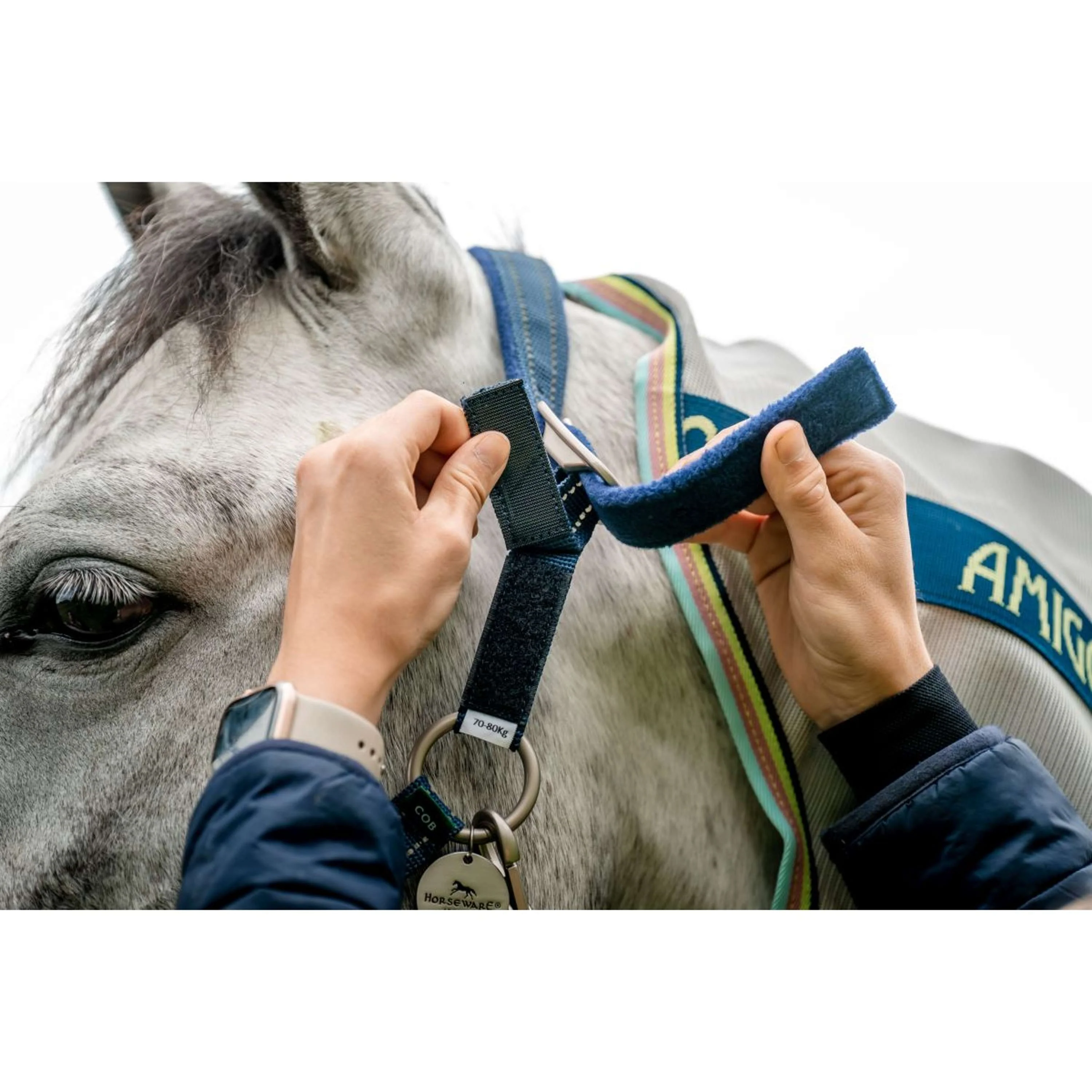Horseware Halfter Field Safe Navy - Image 2