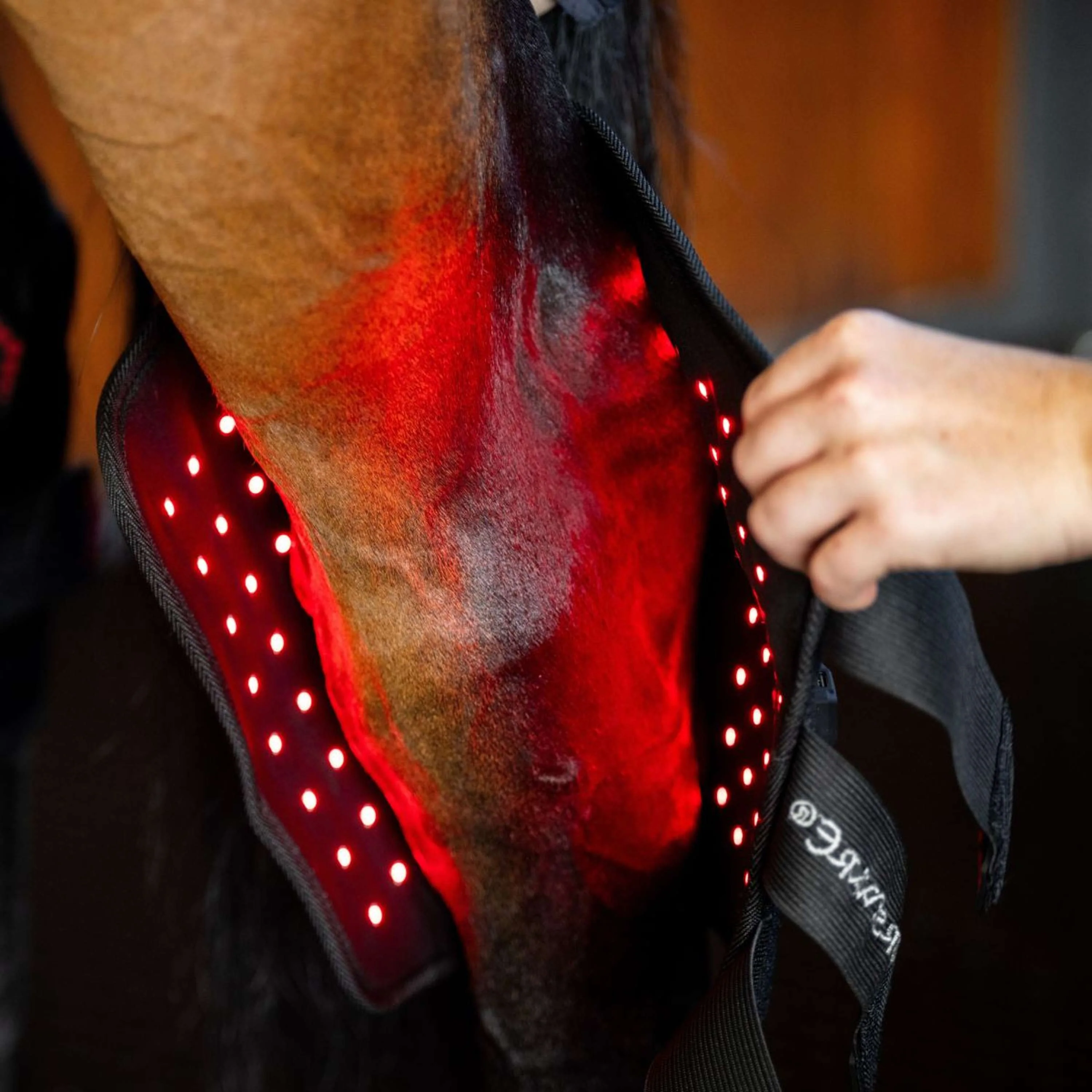 Horseware Hock Boots LED Red Light Therapy Pair Schwarz/Schwarz - Image 2
