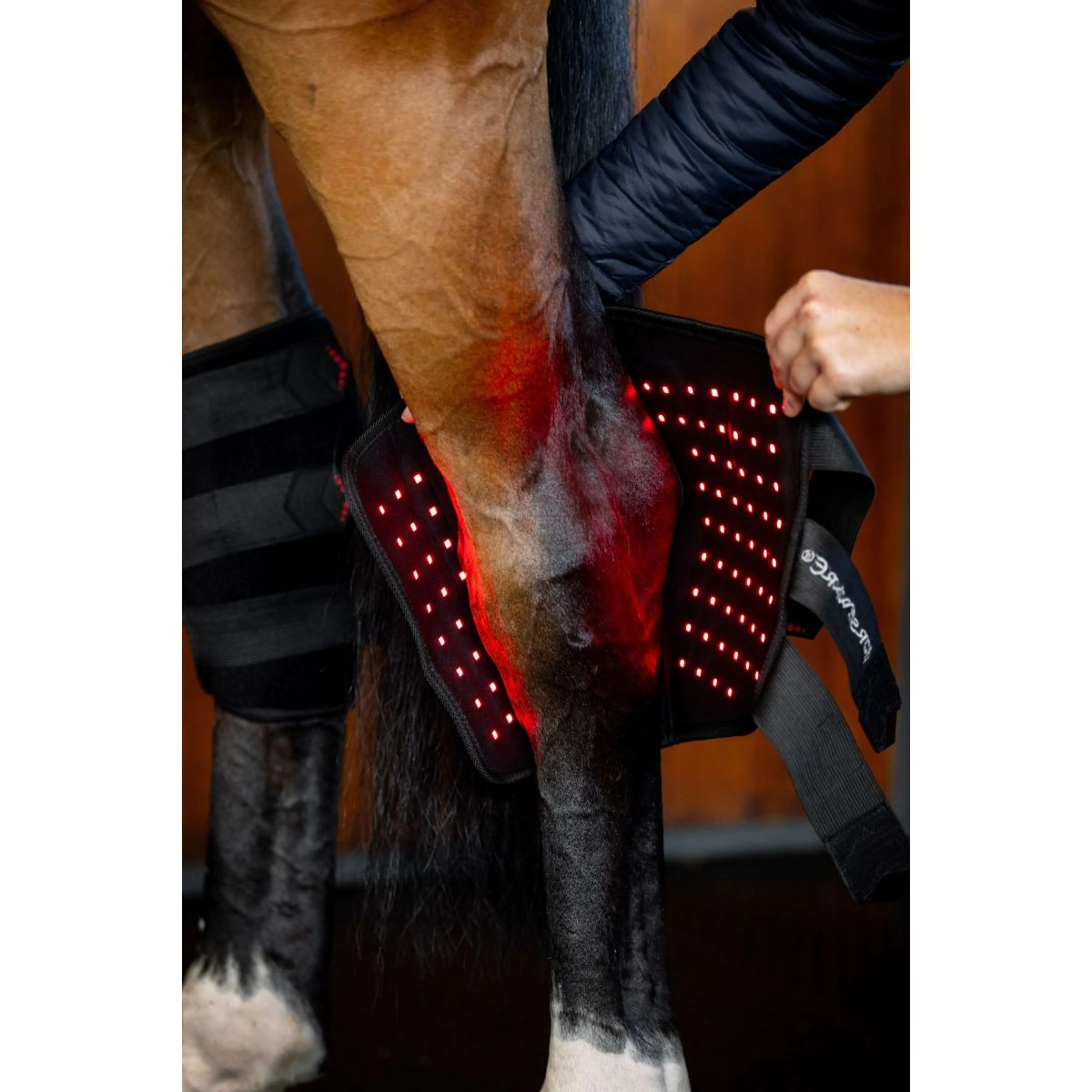 Horseware Hock Boots LED Red Light Therapy Pair Schwarz/Schwarz - Image 3