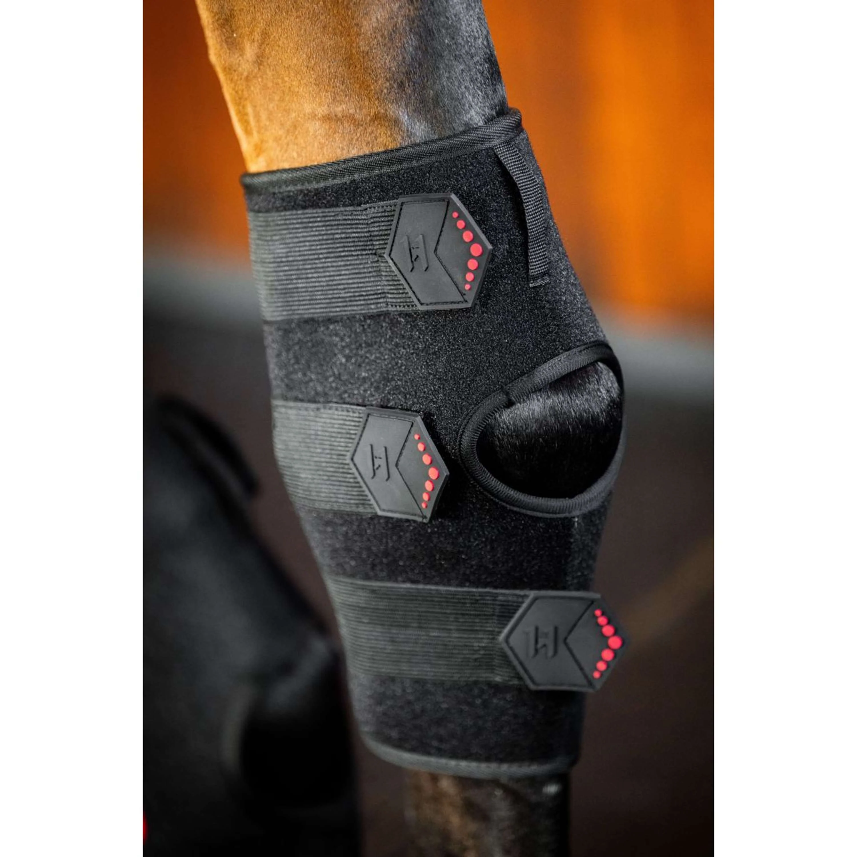 Horseware Hock Boots LED Red Light Therapy Pair Schwarz/Schwarz - Image 4