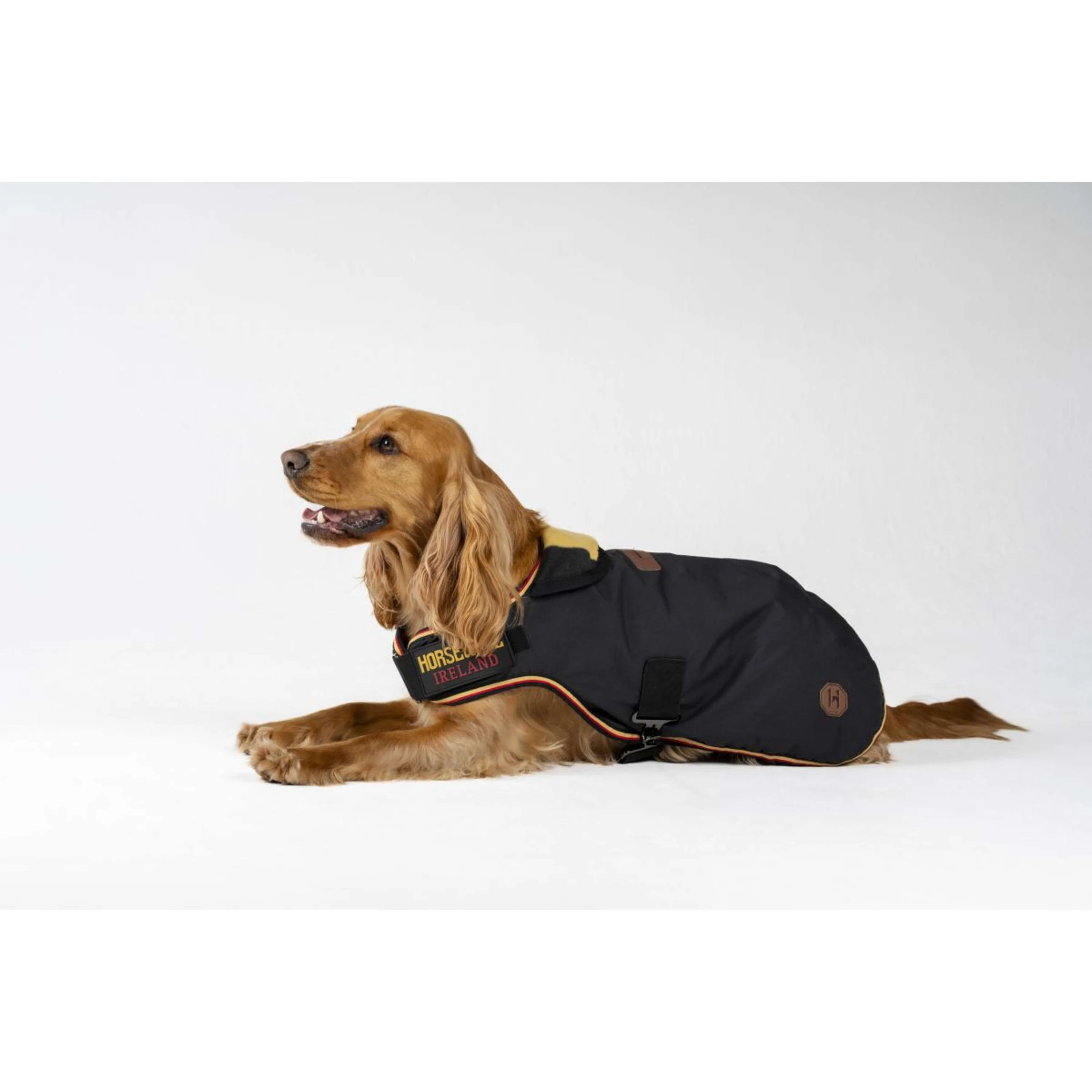 Horseware Hundedecke Newmarket Witney Gold - Image 4