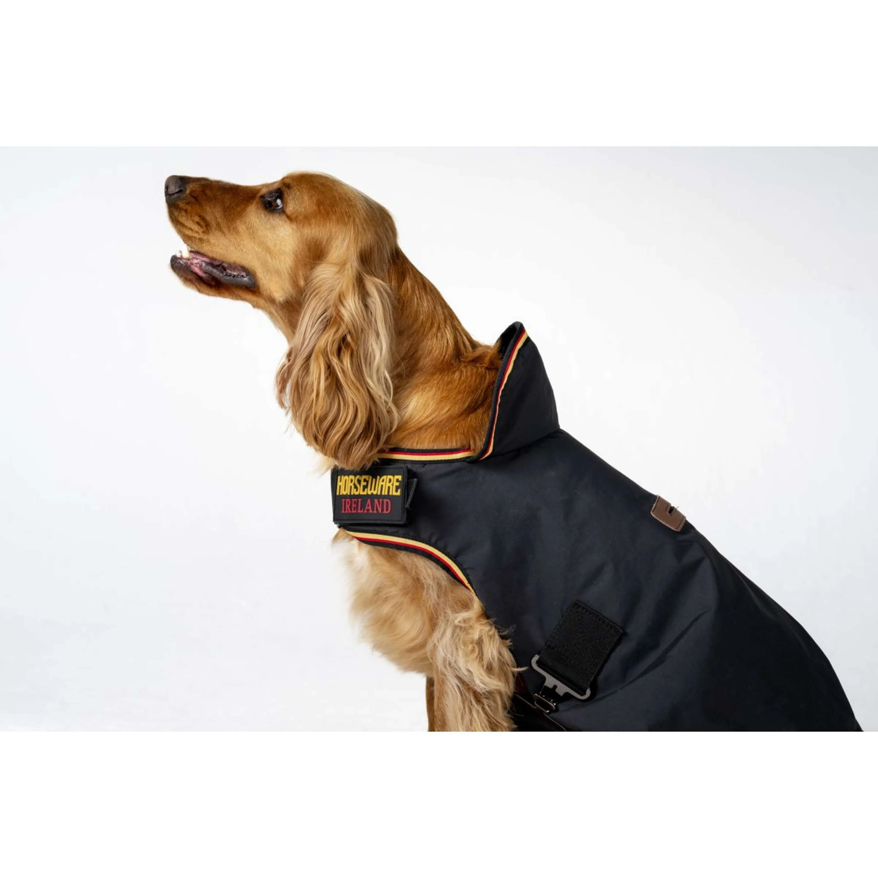 Horseware Hundedecke Newmarket Witney Gold - Image 5