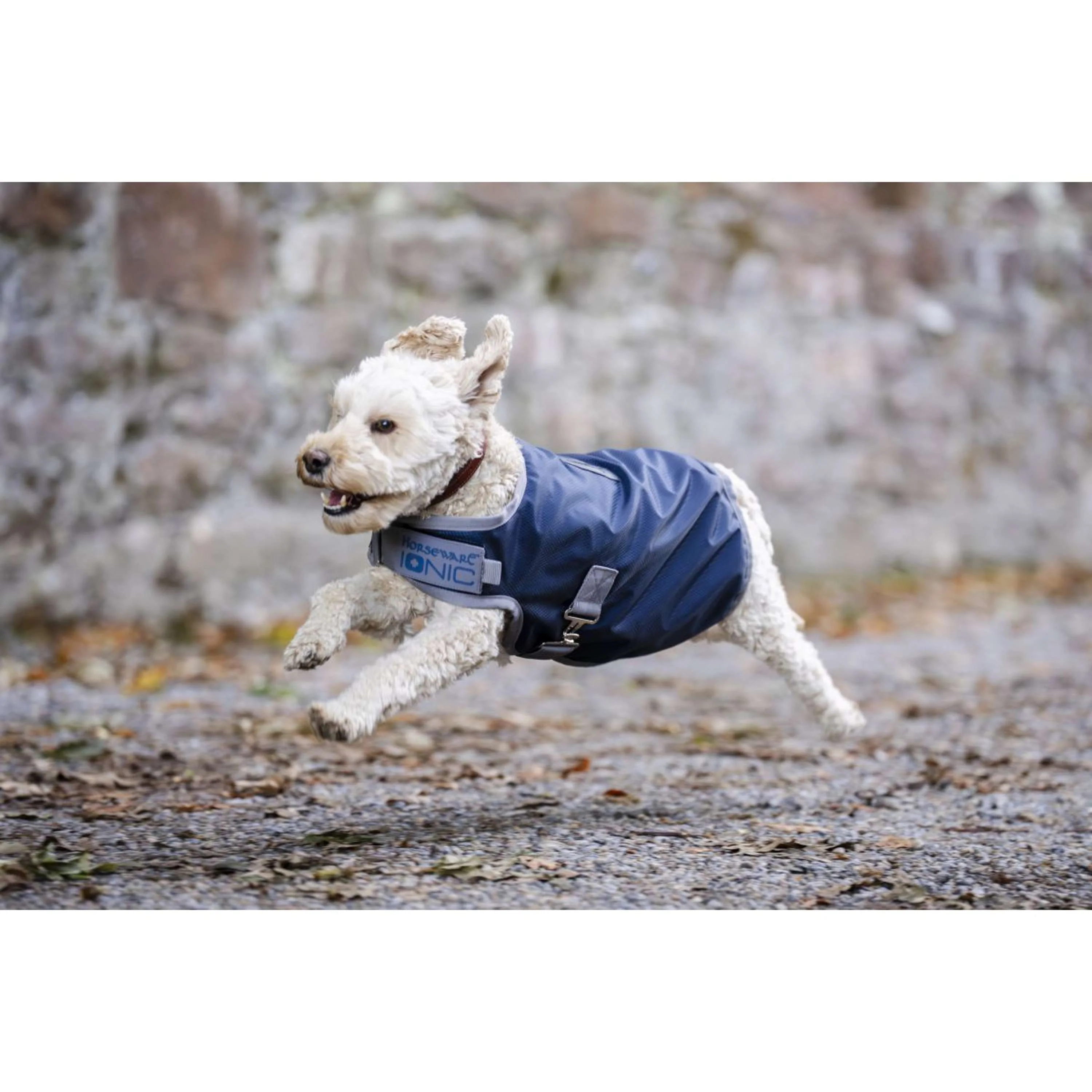 Horseware Ionic Therapy Dog Coat 50g Imperial Blue/Silver/Navy - Image 2