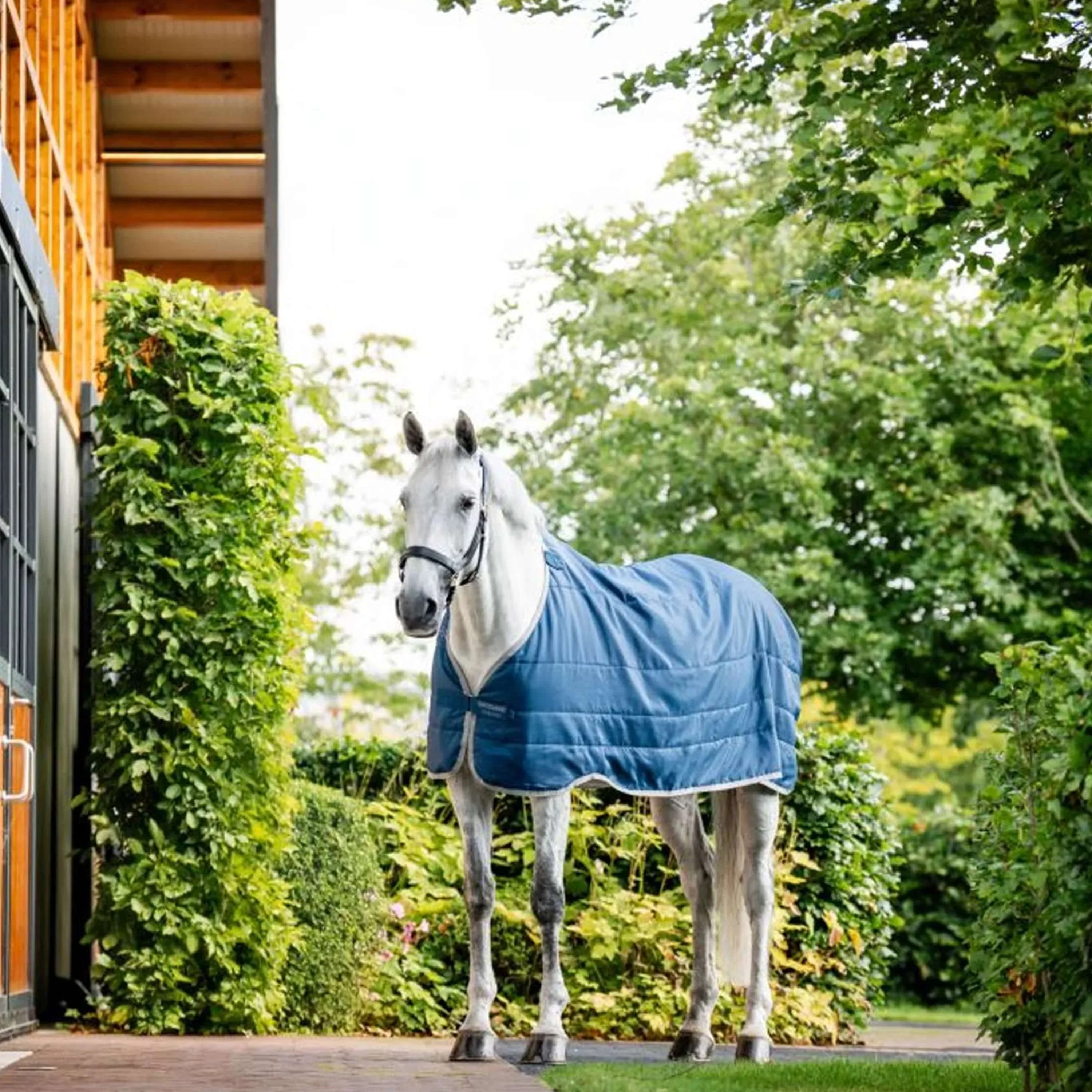 Horseware Ionic Therapy Liner 200g Imperial Blue/Silver/Navy - Image 2