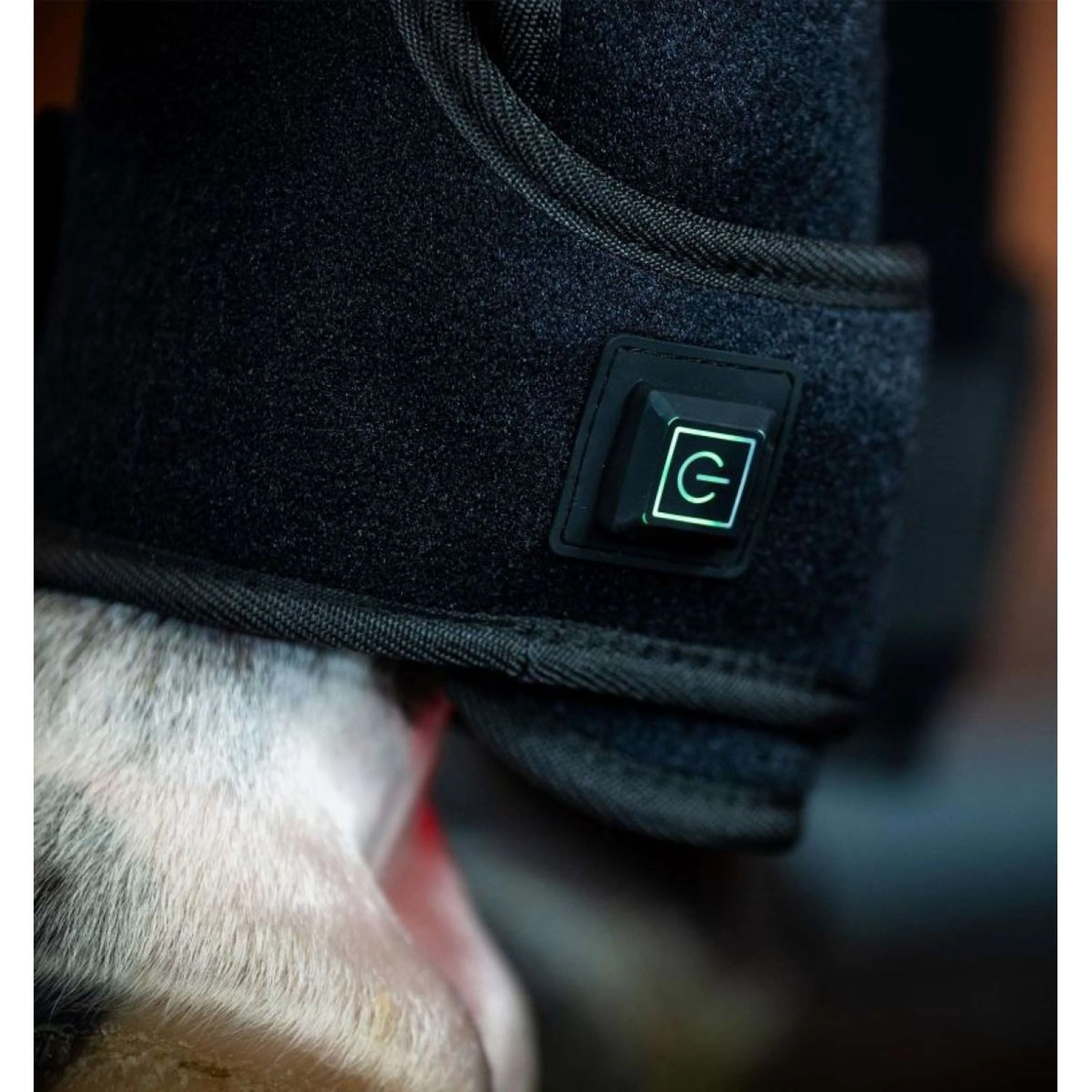 Horseware LED Red Light Therapy Left Leg Wrap Schwarz - Image 2