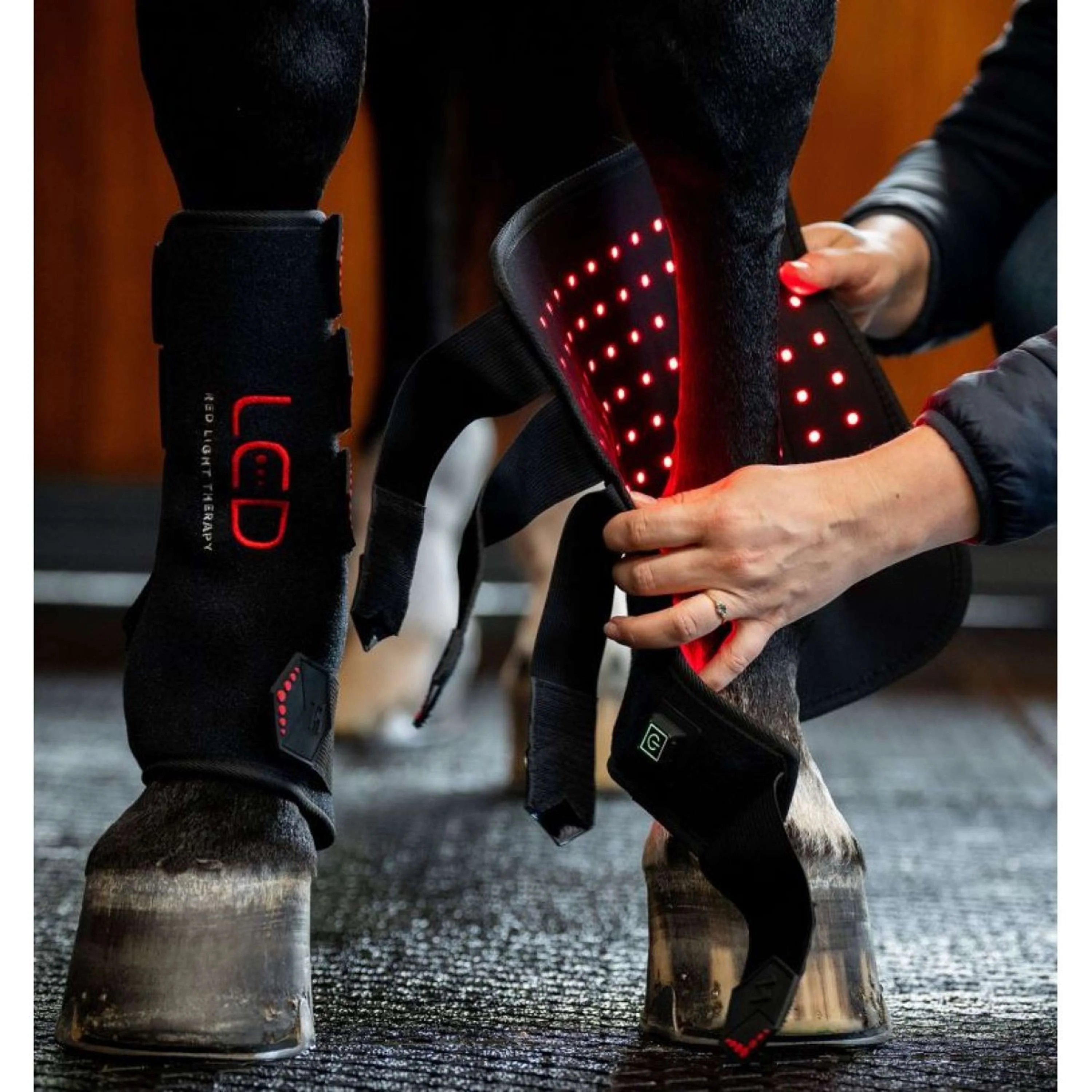 Horseware LED Red Light Therapy Left Leg Wrap Schwarz - Image 4
