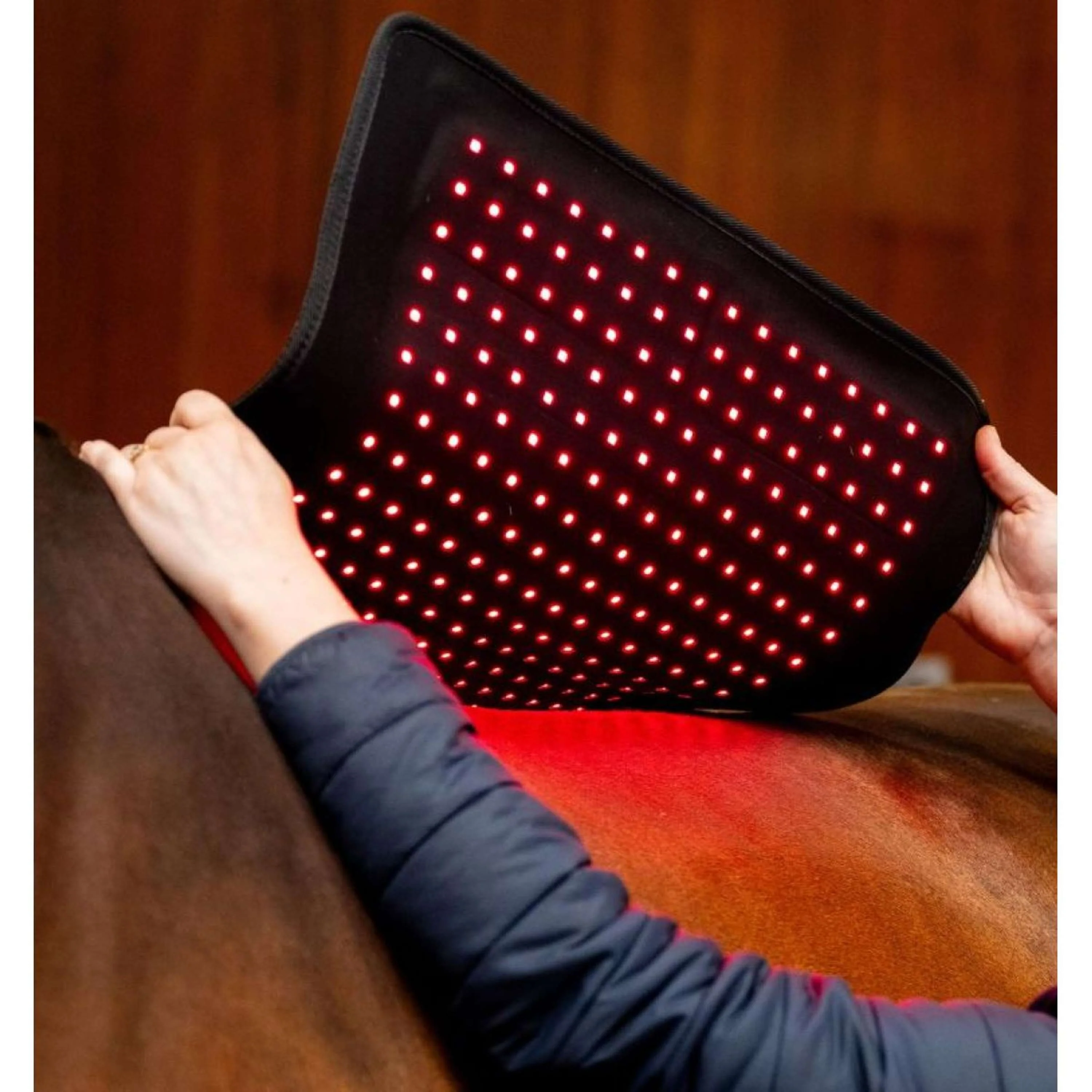 Horseware LED Red Light Therapy Pad Schwarz - Image 2