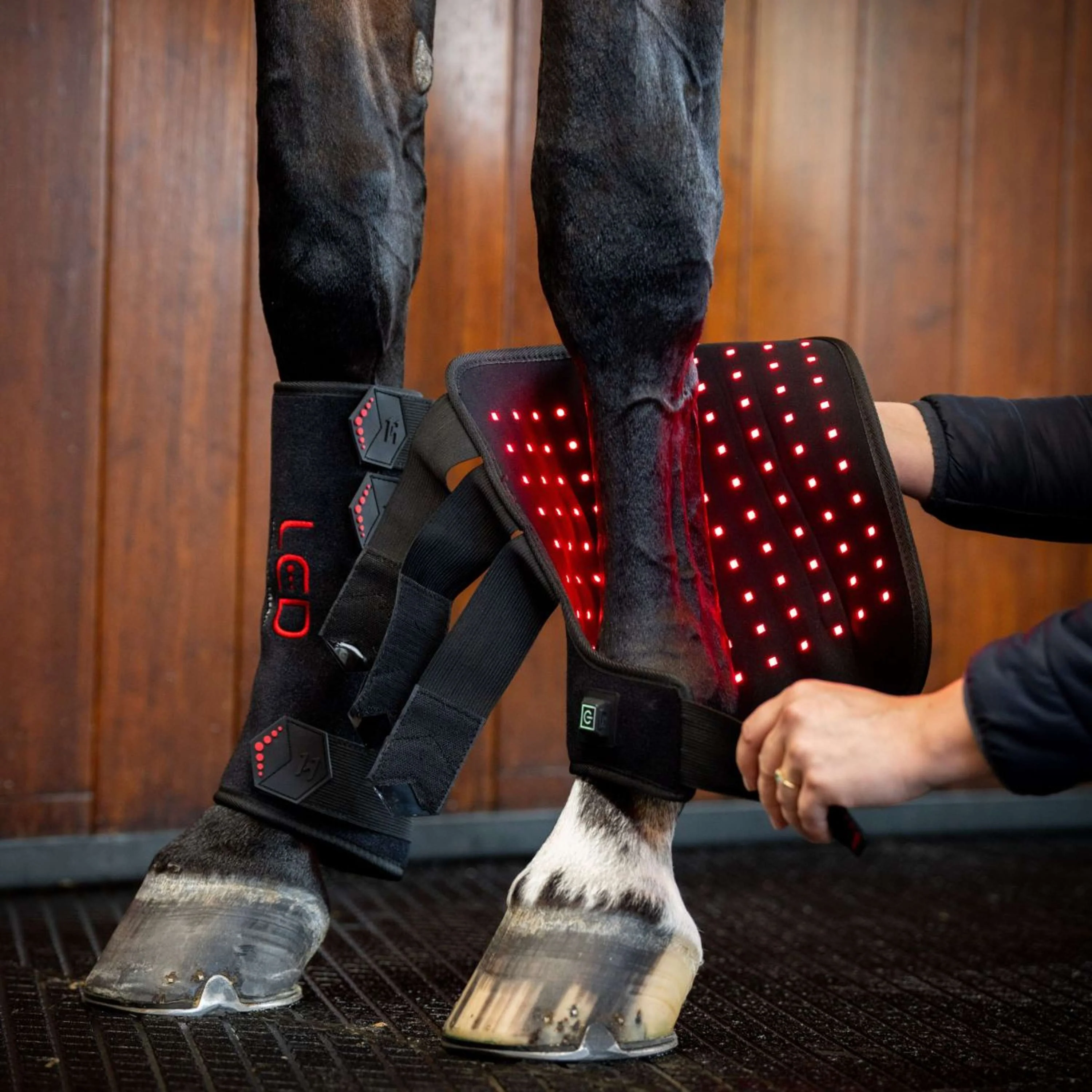 Horseware Leg Wraps LED Red Light Therapy Pair Schwarz/Schwarz - Image 2