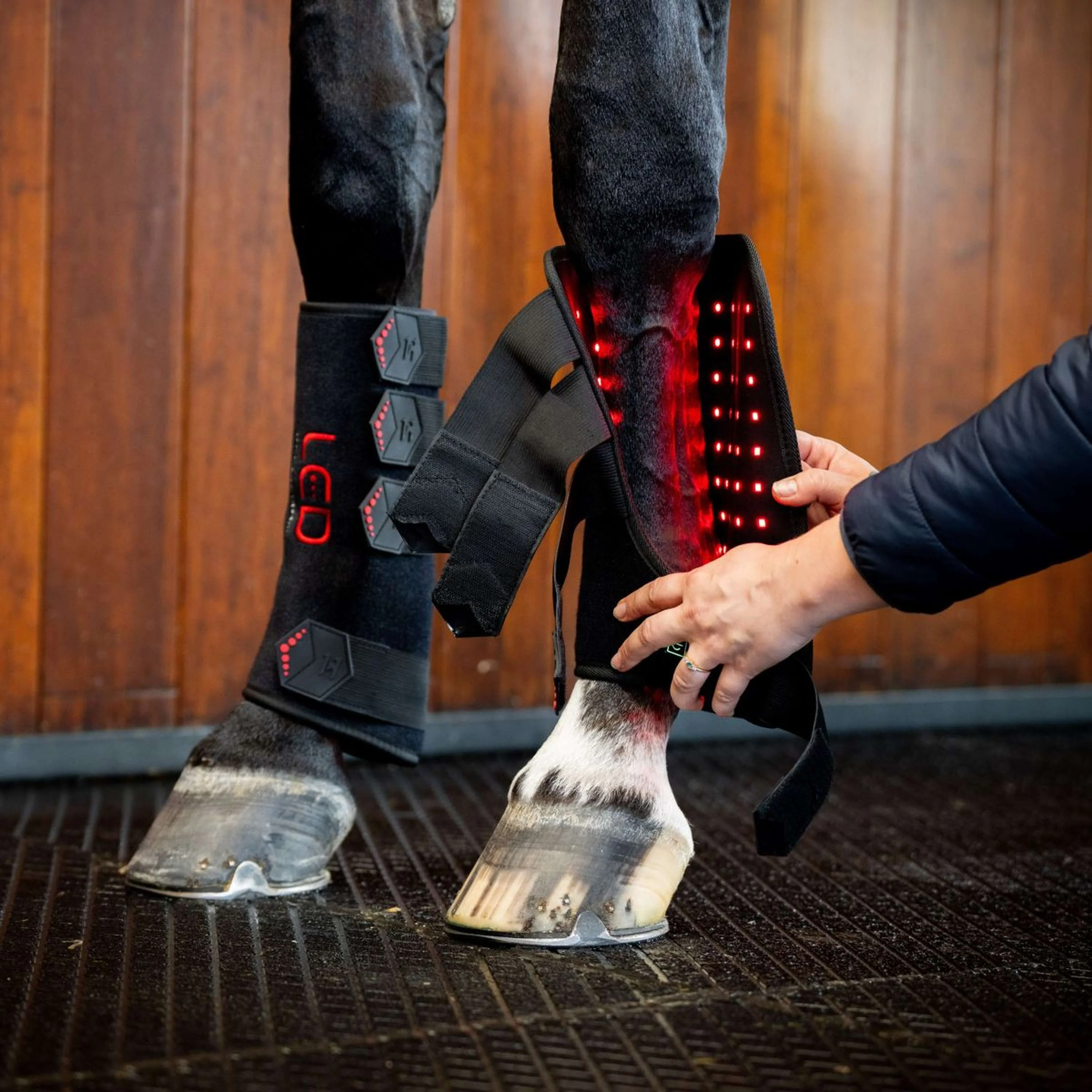 Horseware Leg Wraps LED Red Light Therapy Pair Schwarz/Schwarz - Image 3