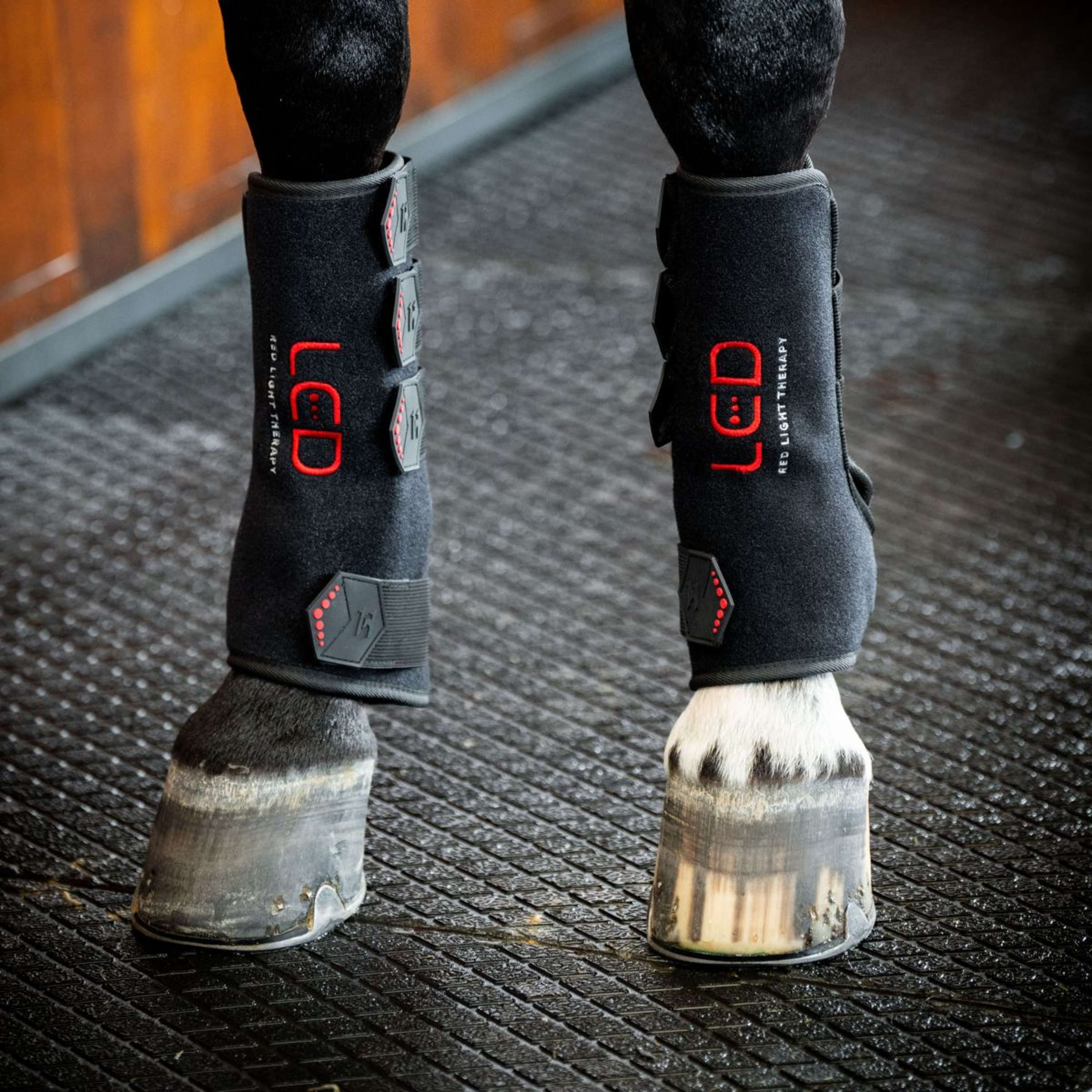 Horseware Leg Wraps LED Red Light Therapy Pair Schwarz/Schwarz - Image 4