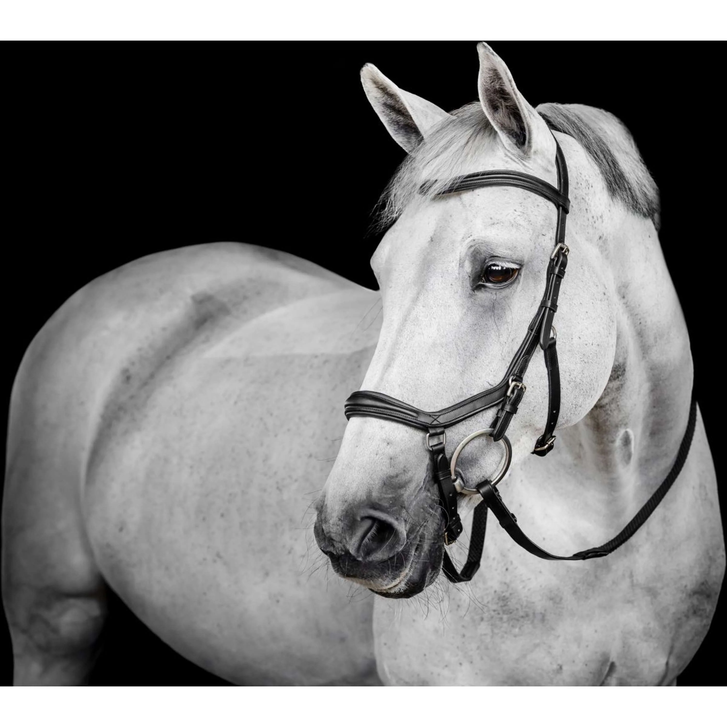 Horseware Micklem Deluxe Competition Bridle Schwarz - Image 2