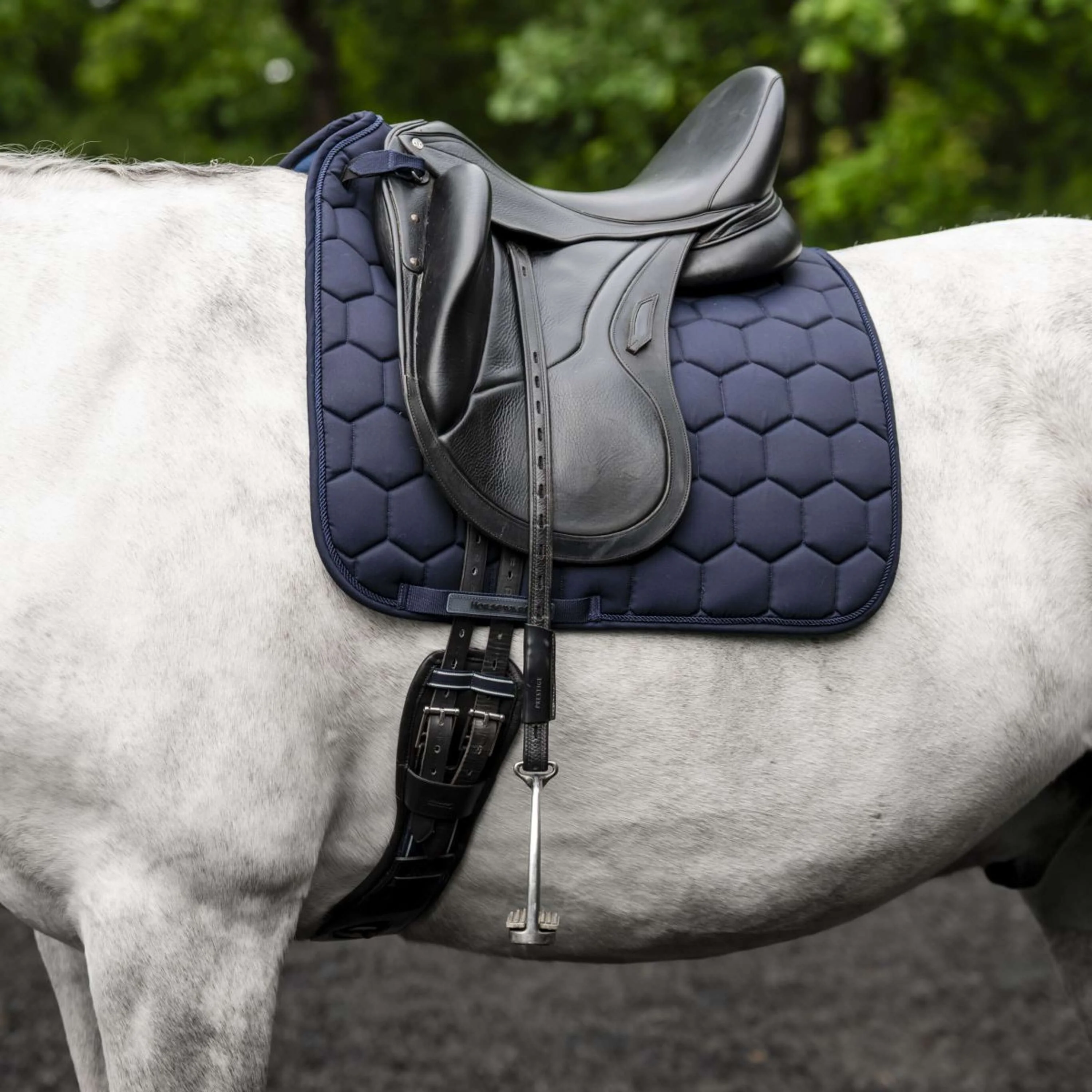 Horseware Schabracke Ionic Dressur Navy - Image 2