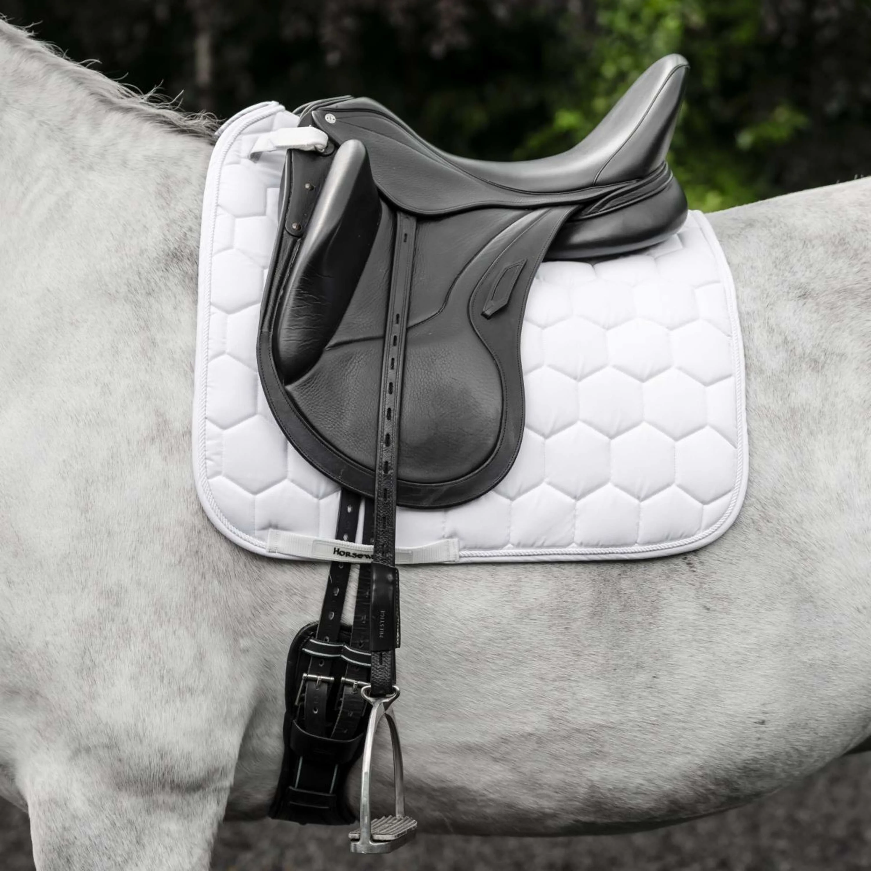 Horseware Schabracke Ionic Dressur Weiß - Image 2