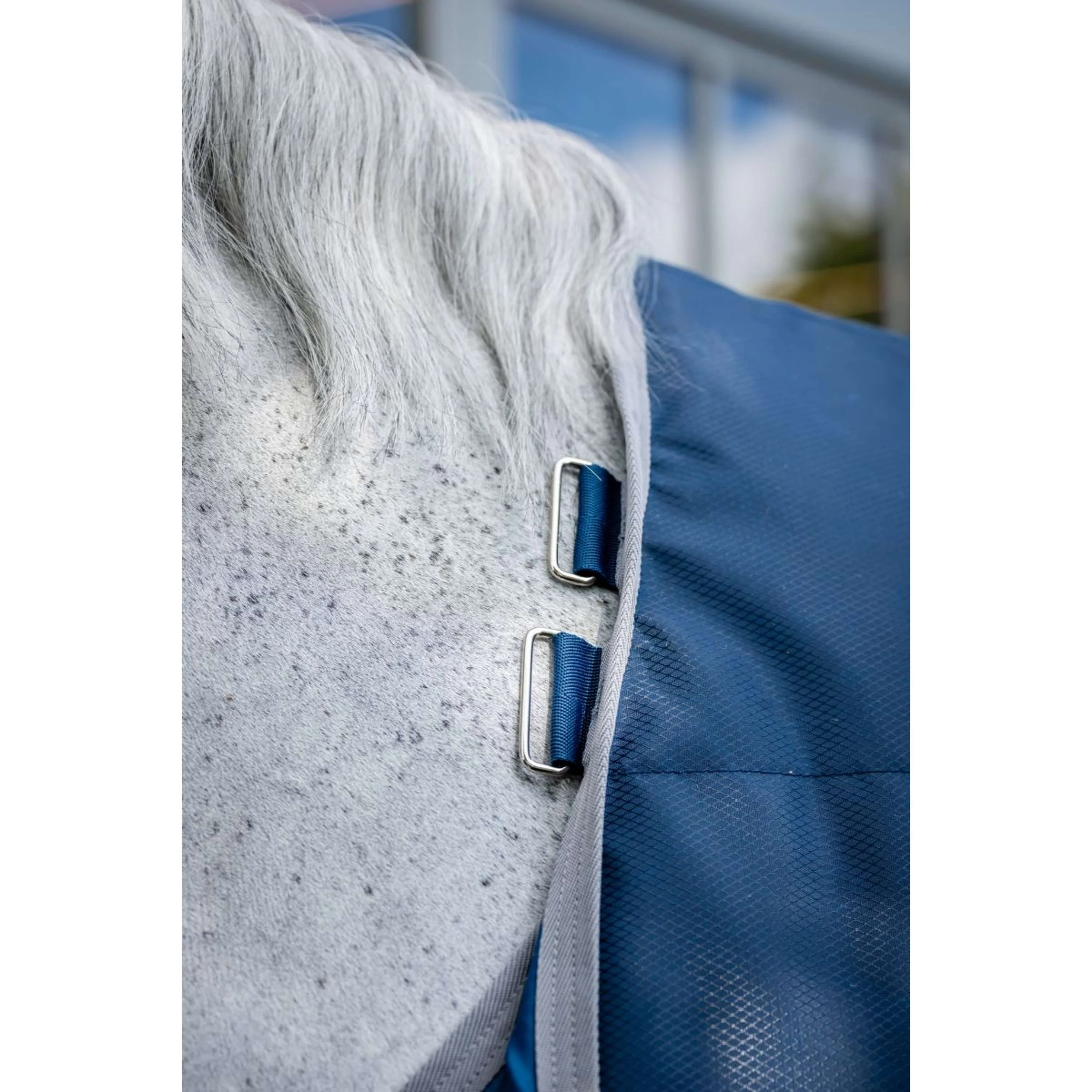 Horseware Therapy Ionic Stable 50g Imperialblau/Silber/Marineblau - Image 6
