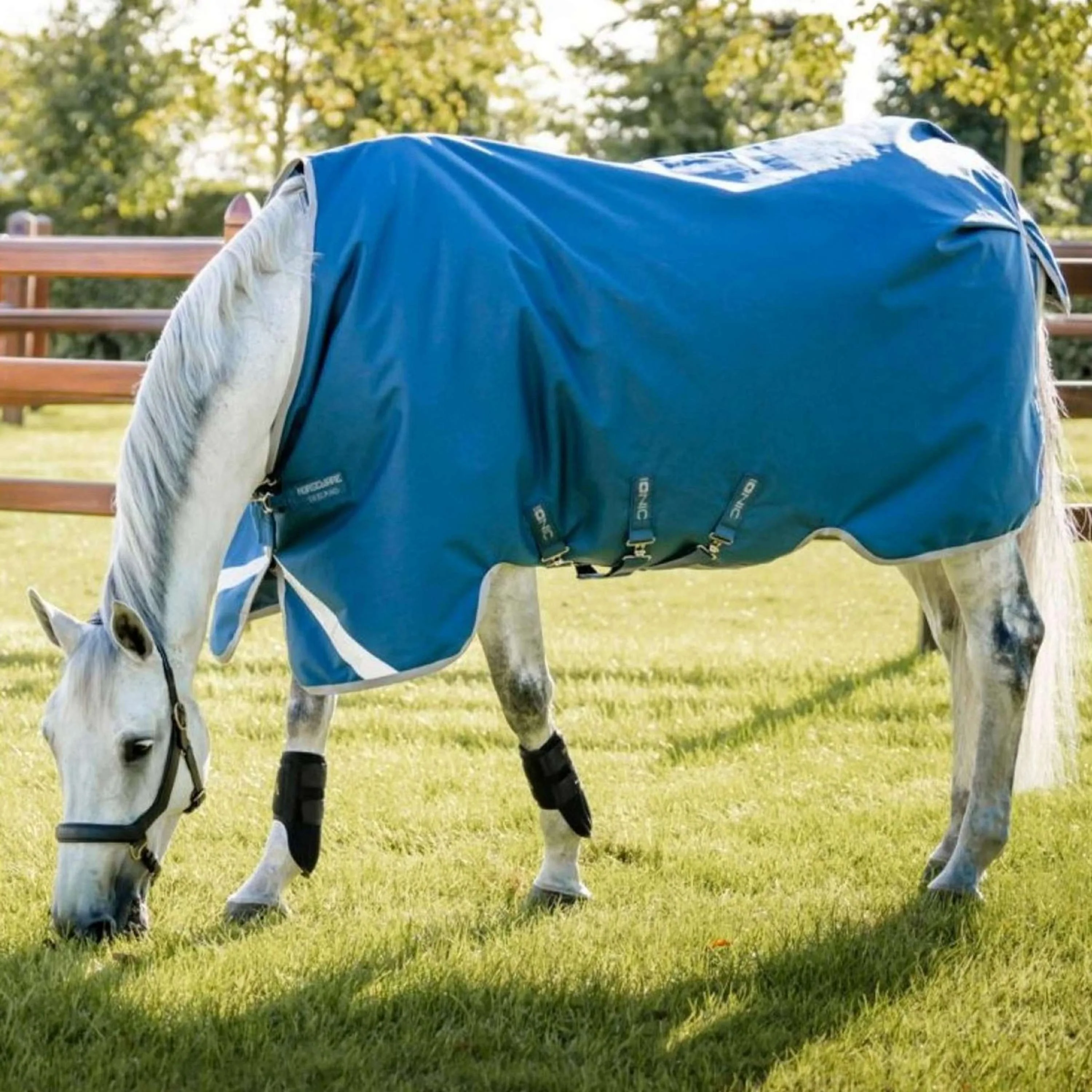 Horseware Therapy Turnout Ionic 100g Imperialblau/Silber/Marineblau - Image 3