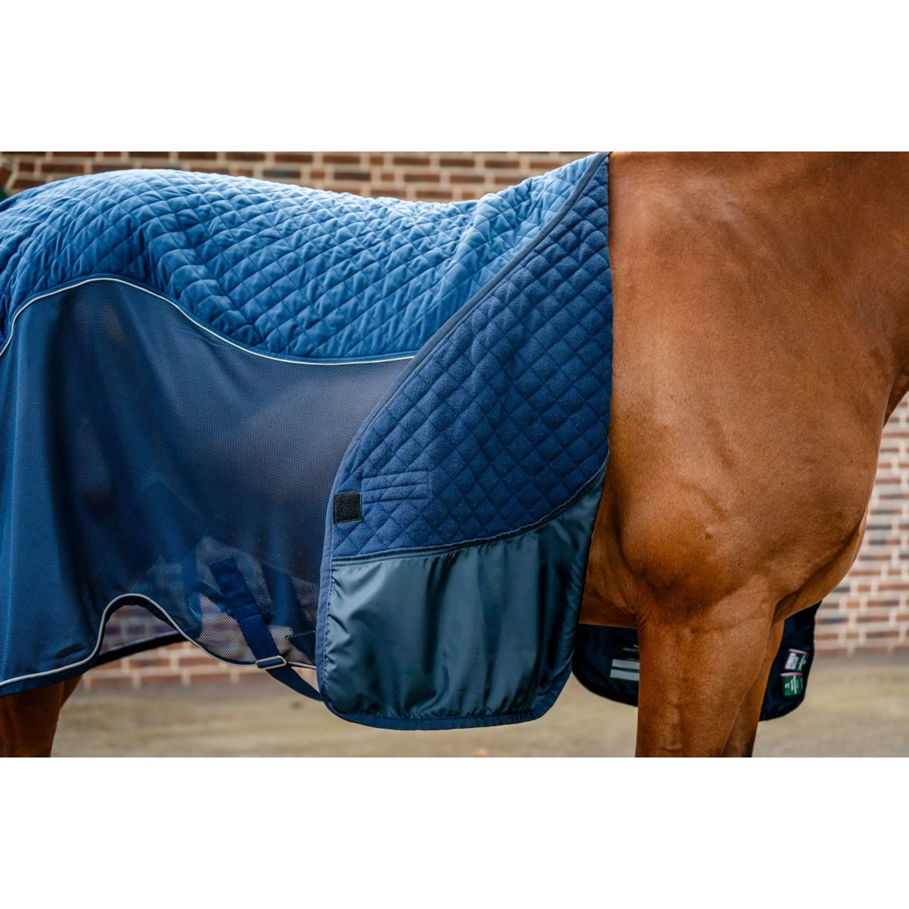Horseware Travel Cooler Signature Navy - Image 2