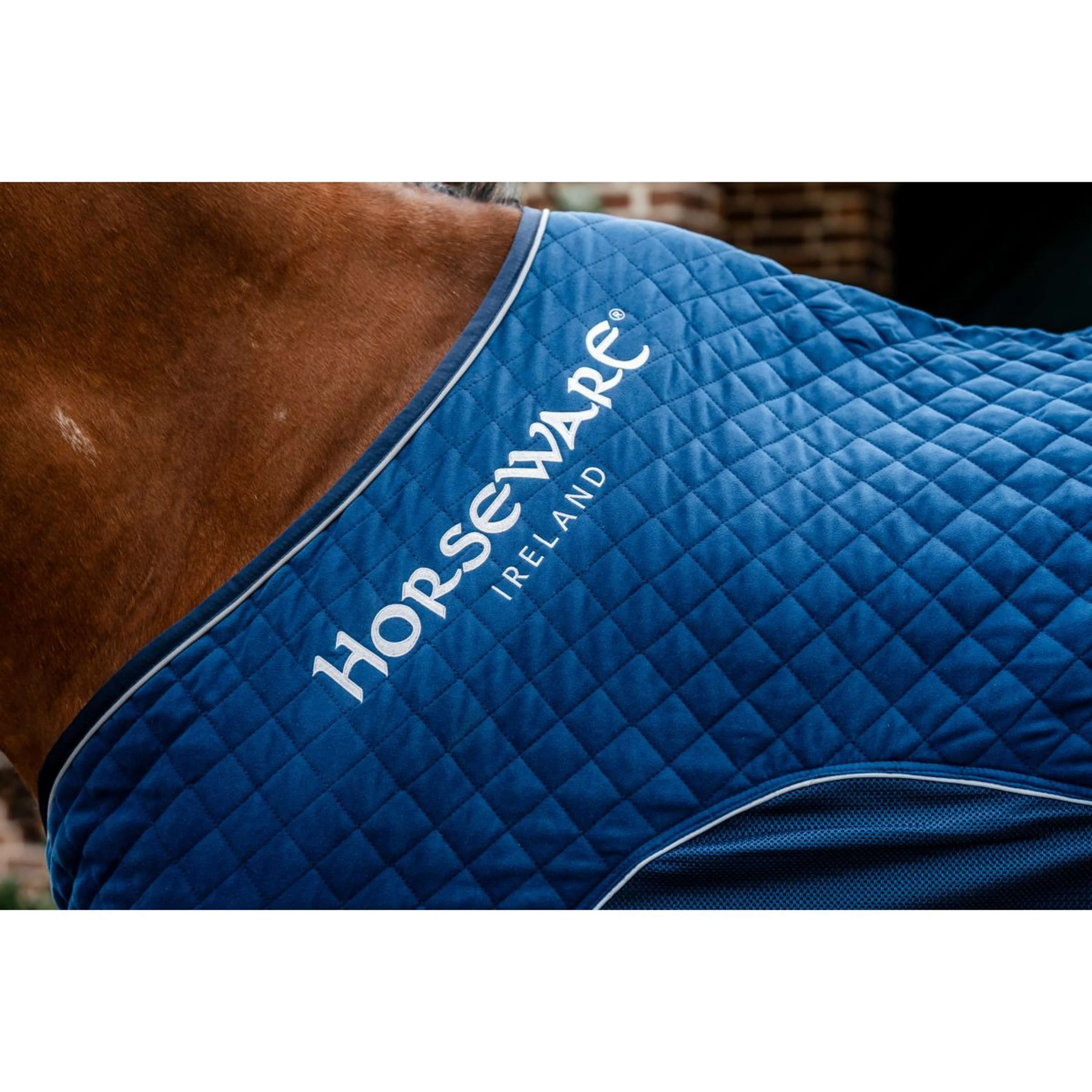 Horseware Travel Cooler Signature Navy - Image 5