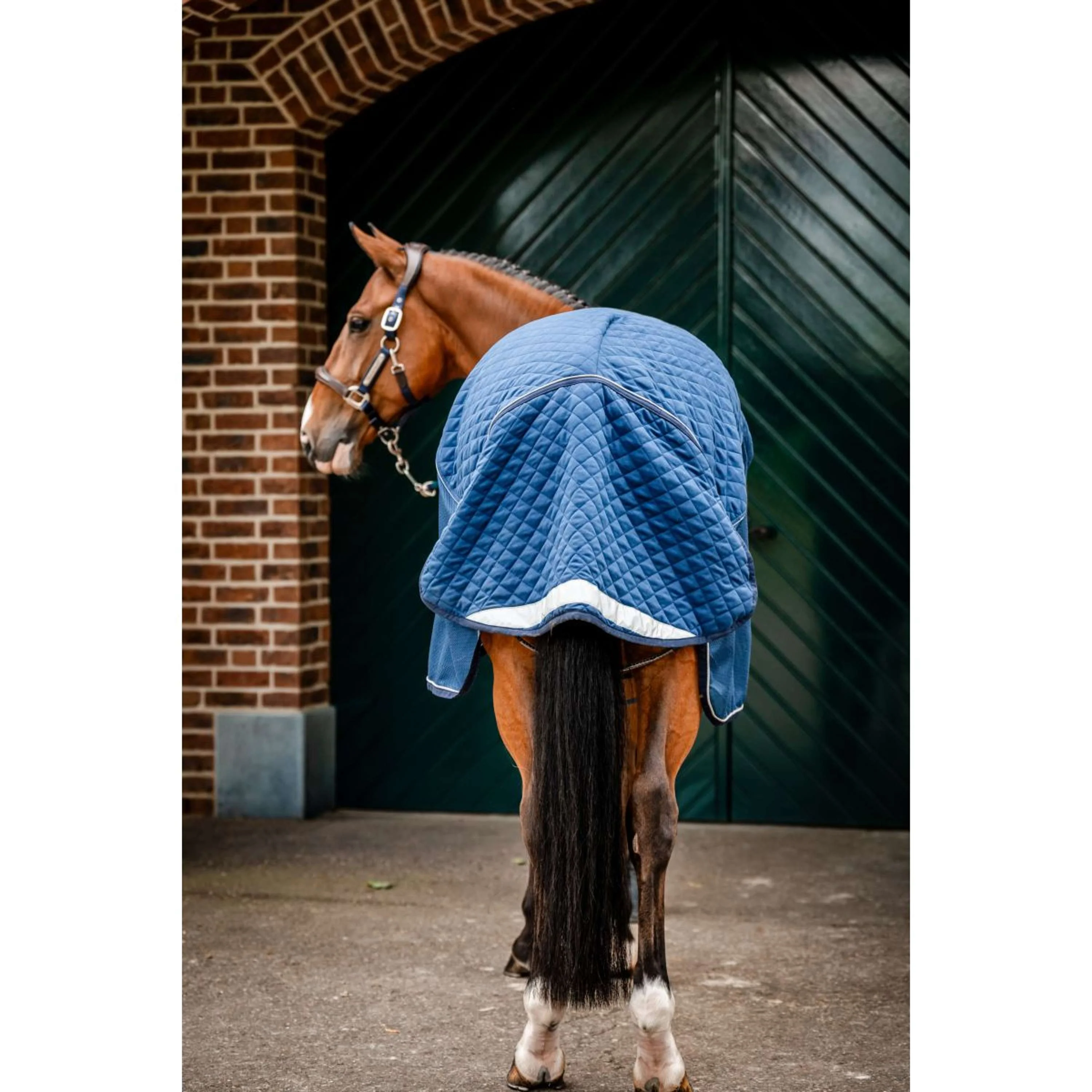 Horseware Travel Cooler Signature Navy - Image 7