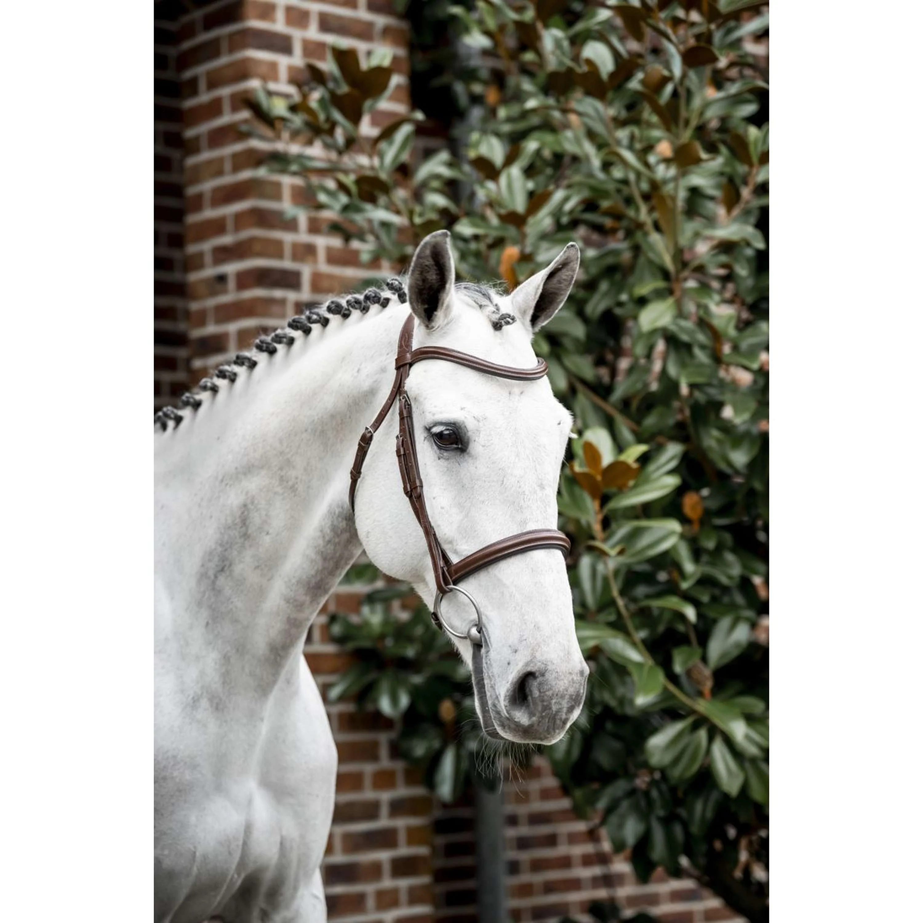 Horseware Zaum Cavesson Braun - Image 12