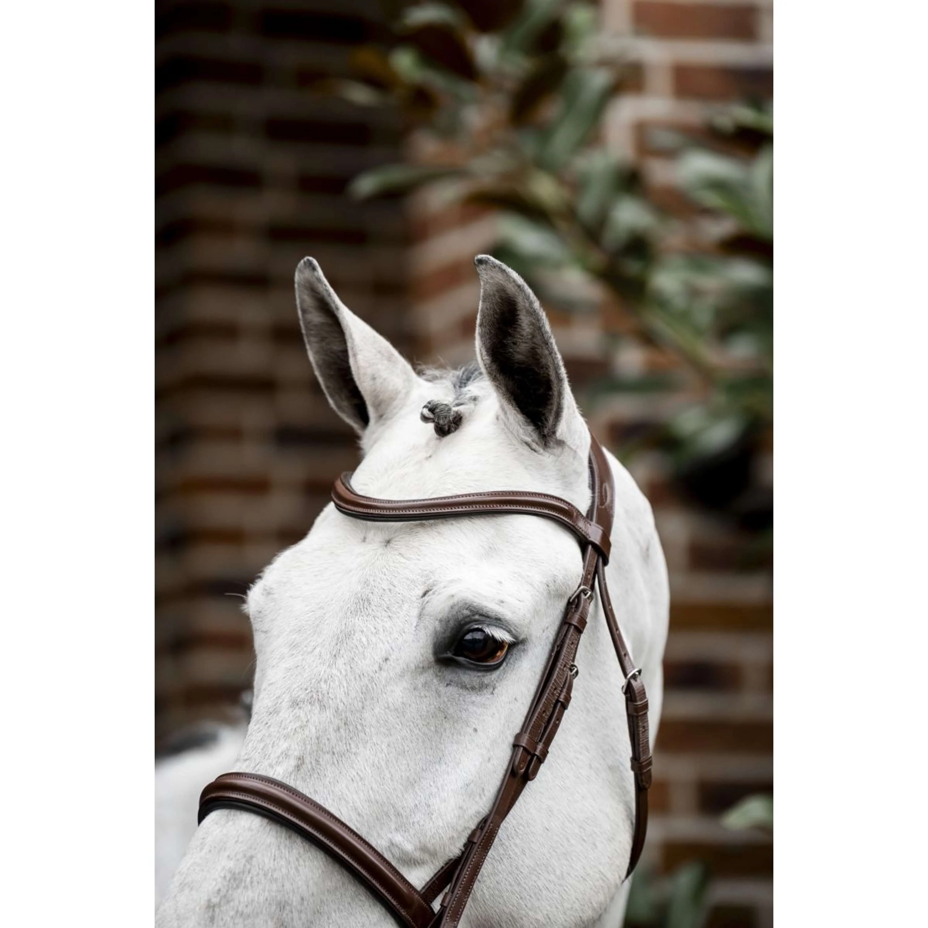 Horseware Zaum Cavesson Braun - Image 2