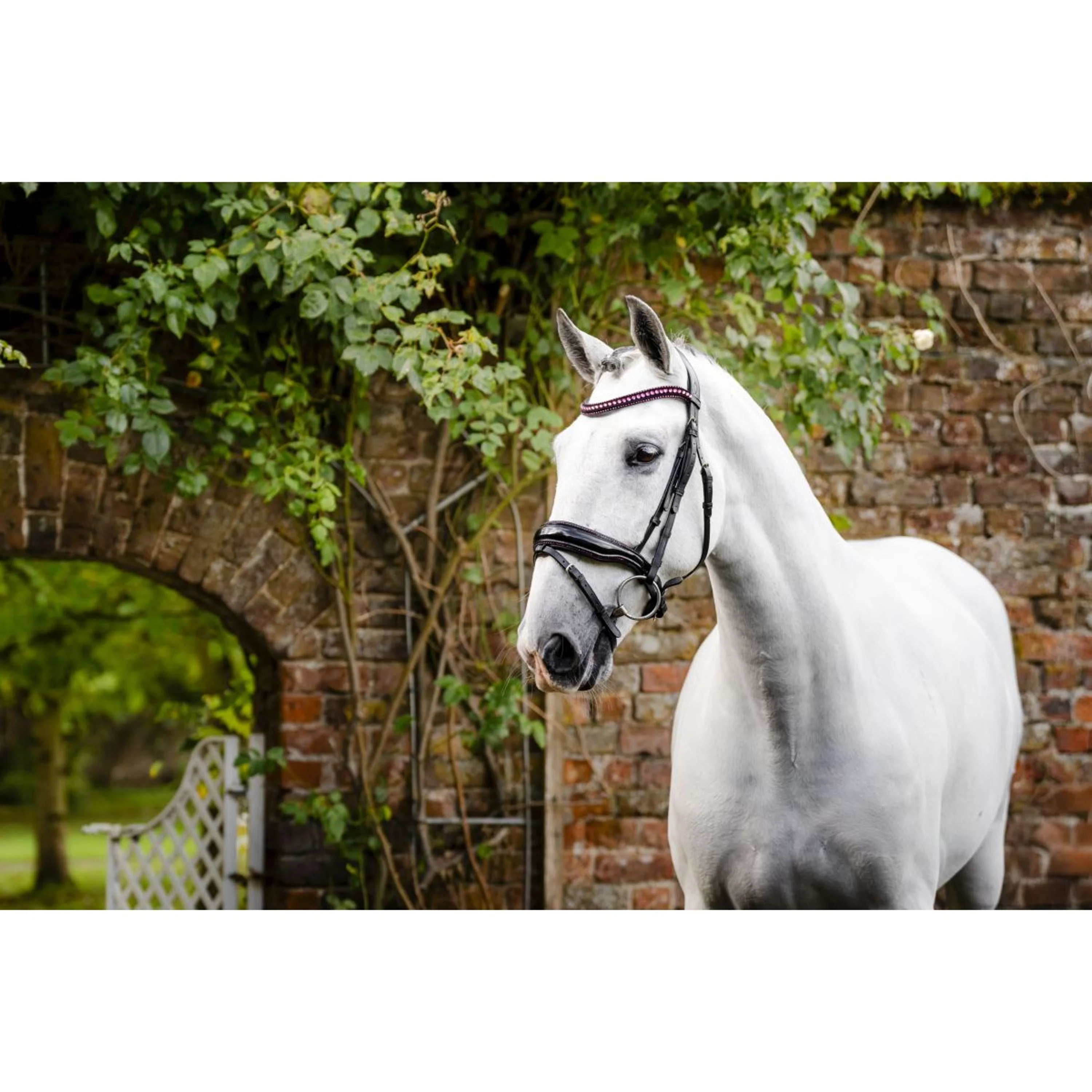 Horseware Zaum Diamante Schwarz/Rosa