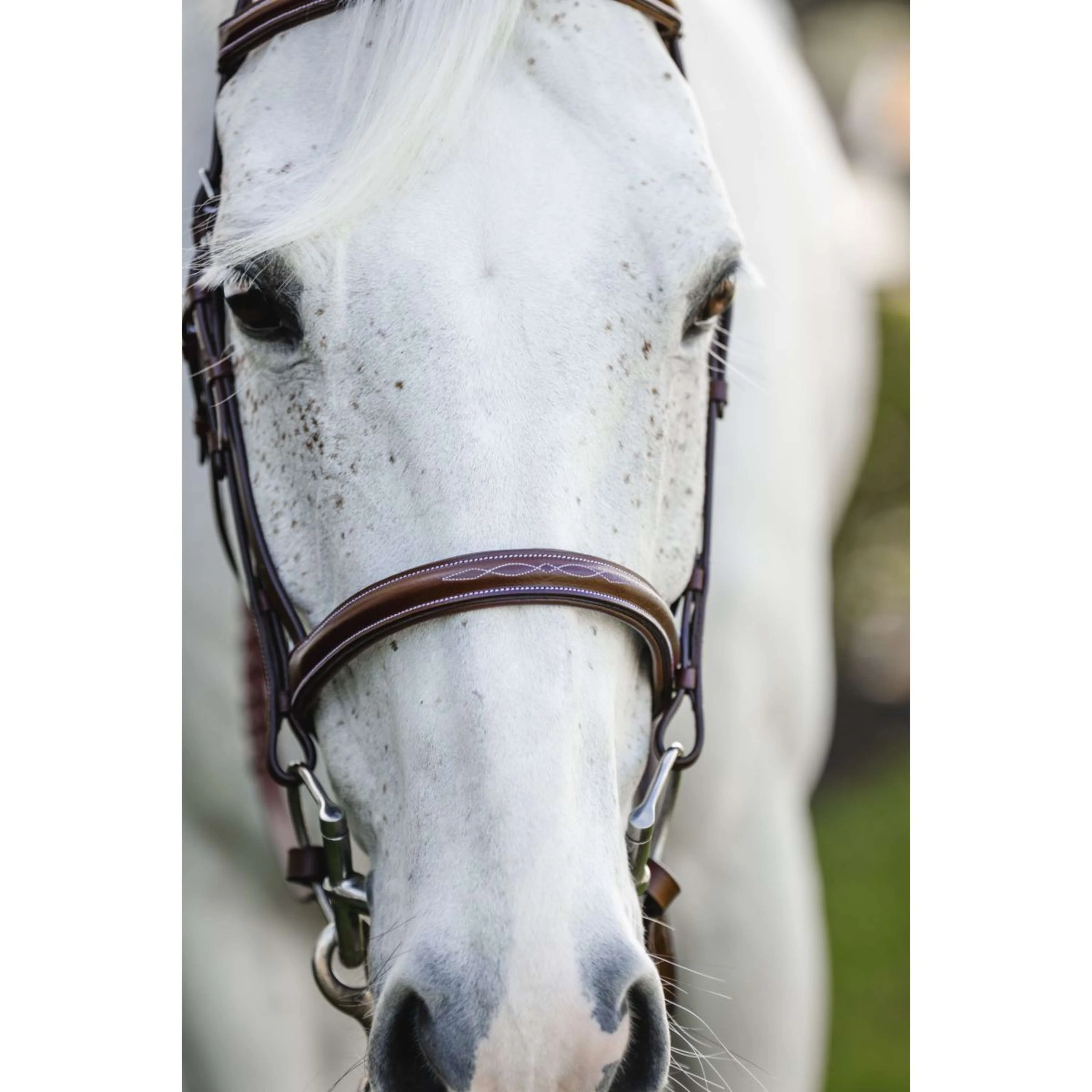 Horseware Zaum Pony Hunter Cavesson mit Zügeln Dark Tan - Image 2