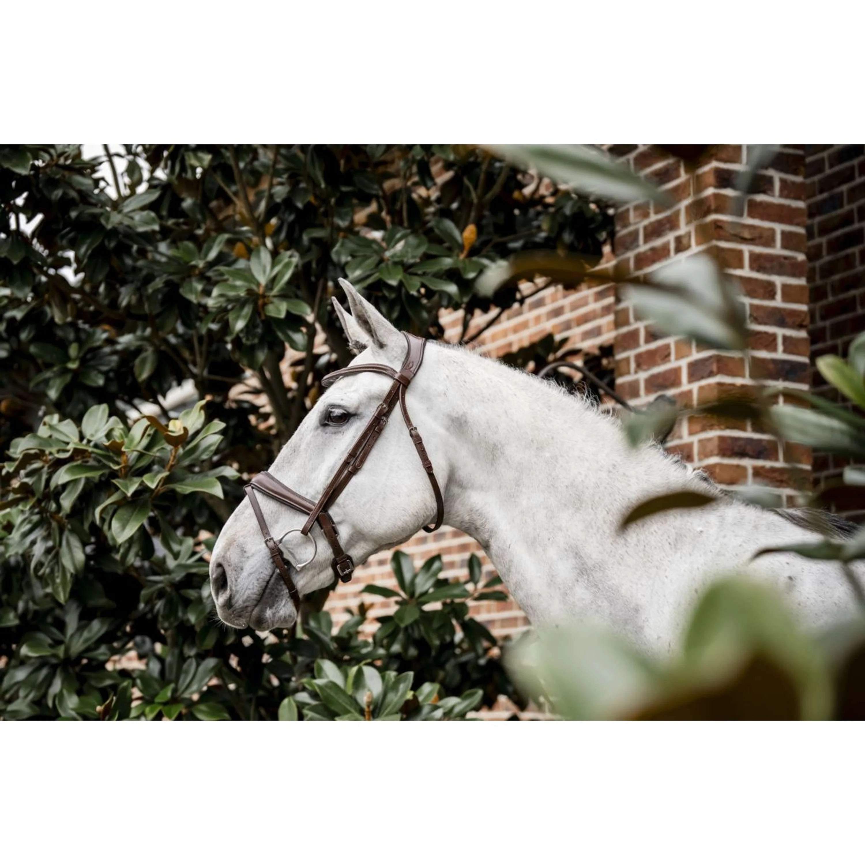 Horseware Zaum Pony Flash Braun - Image 4