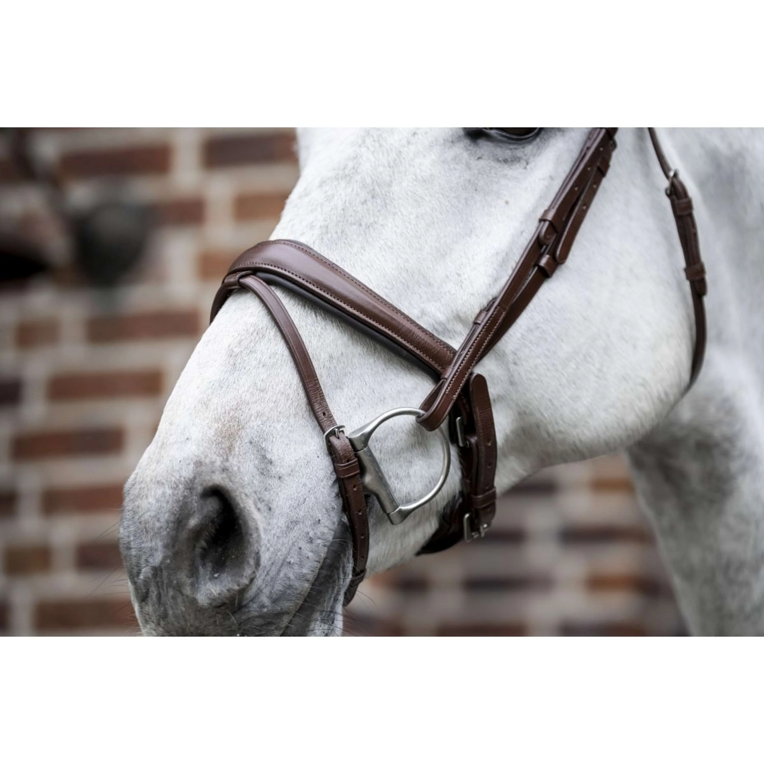 Horseware Zaum Pony Flash Braun - Image 5