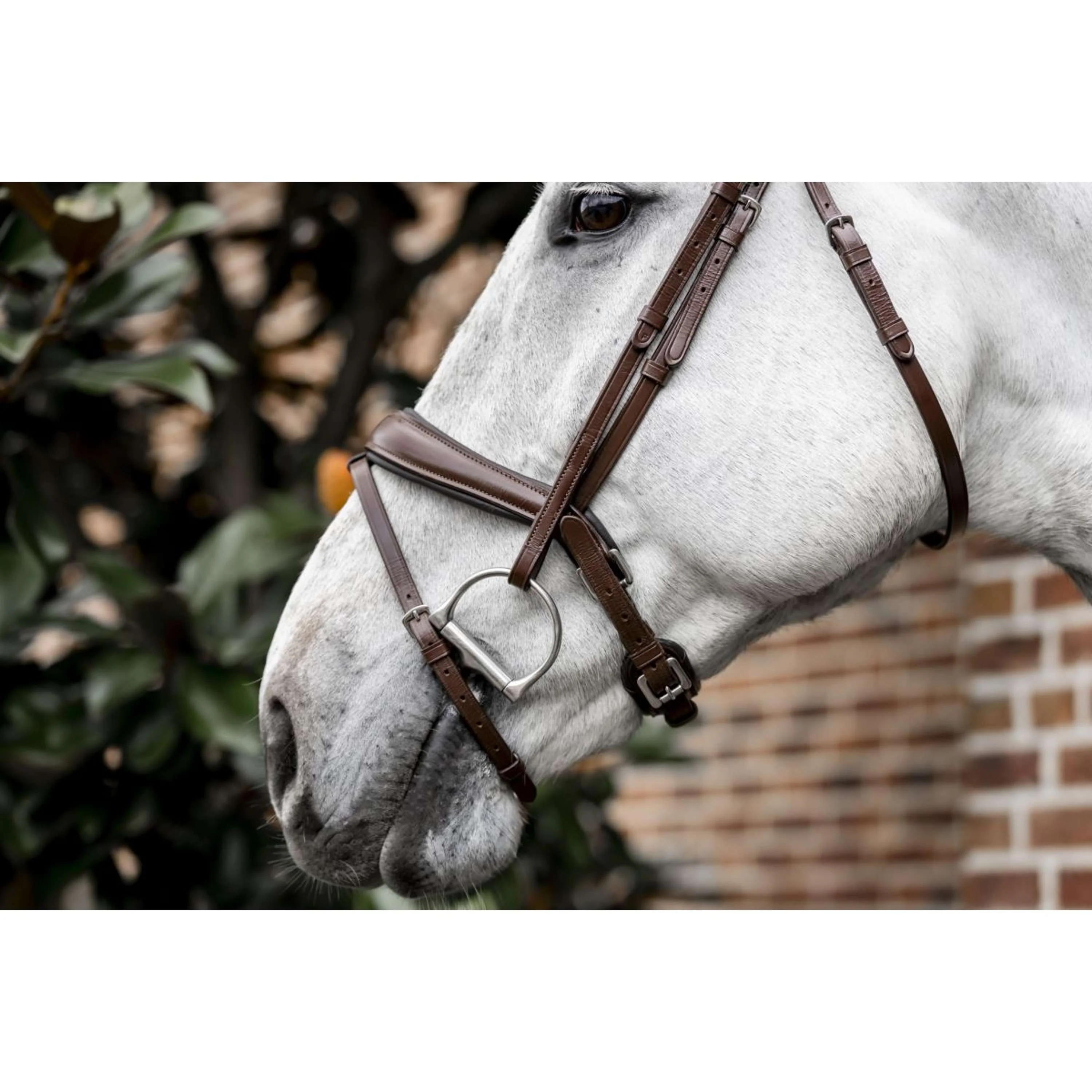 Horseware Zaum Pony Flash Braun - Image 7