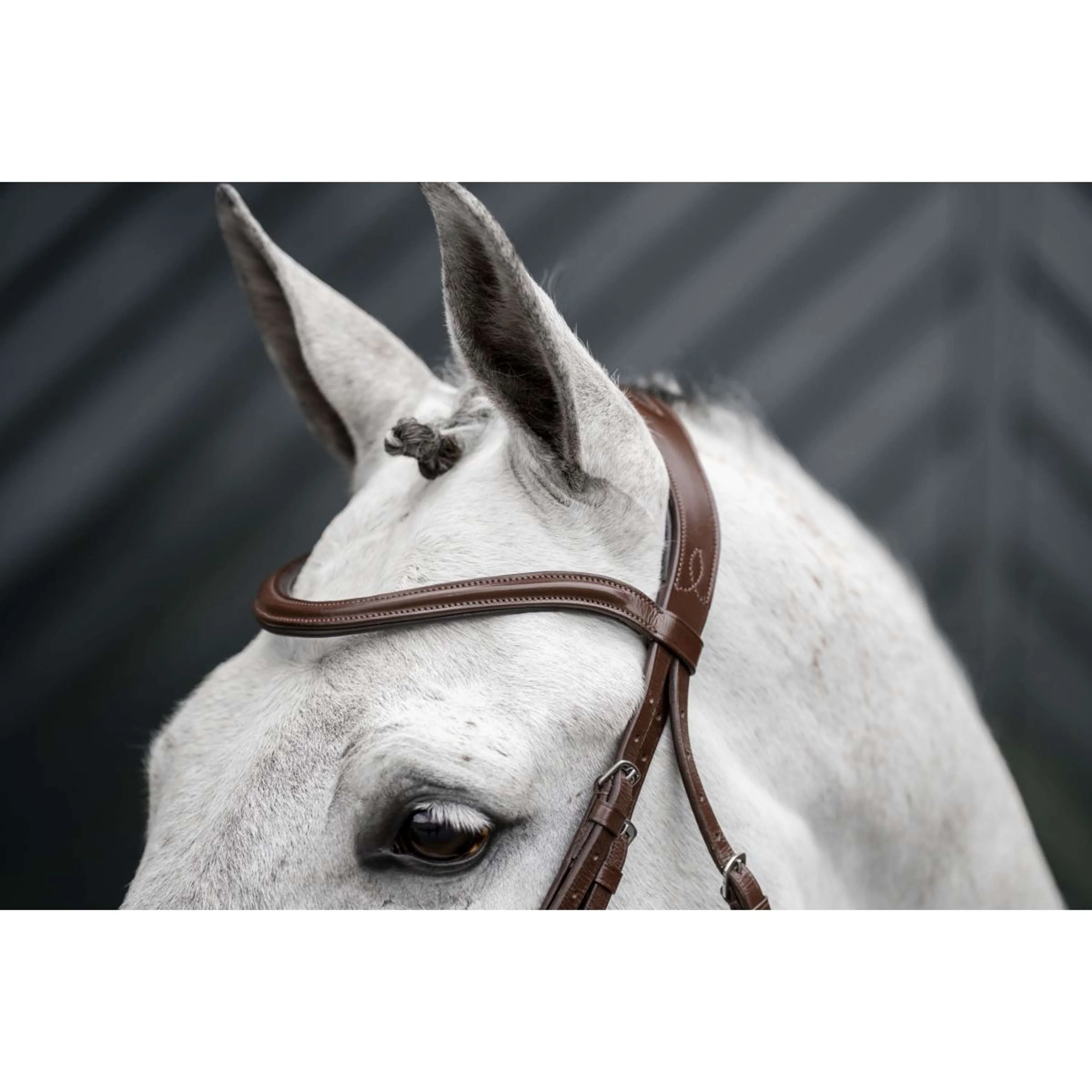 Horseware Zaum Pony Flash Braun - Image 9