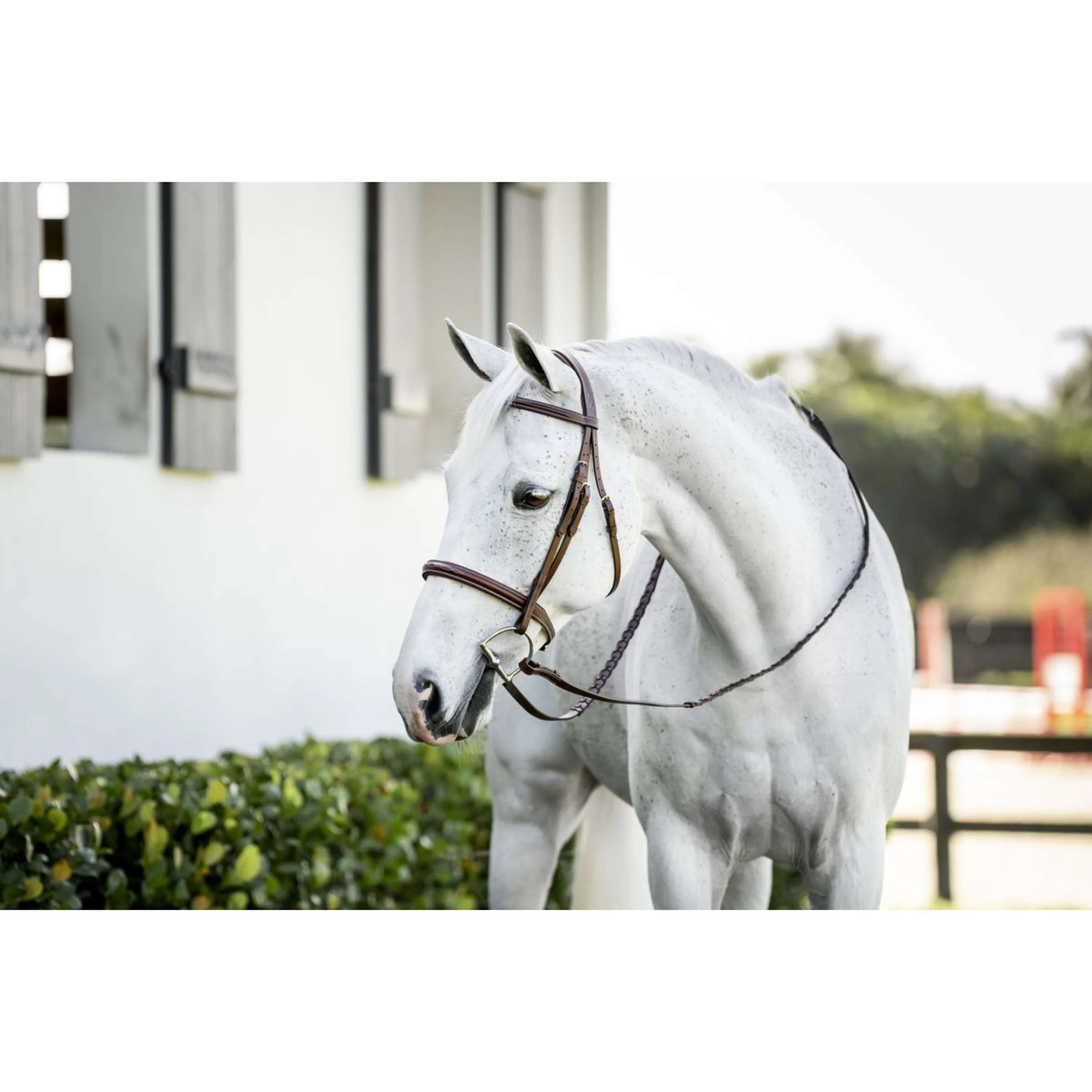 Horseware Zaum Pony Hunter Cavesson mit Zügeln Dark Tan