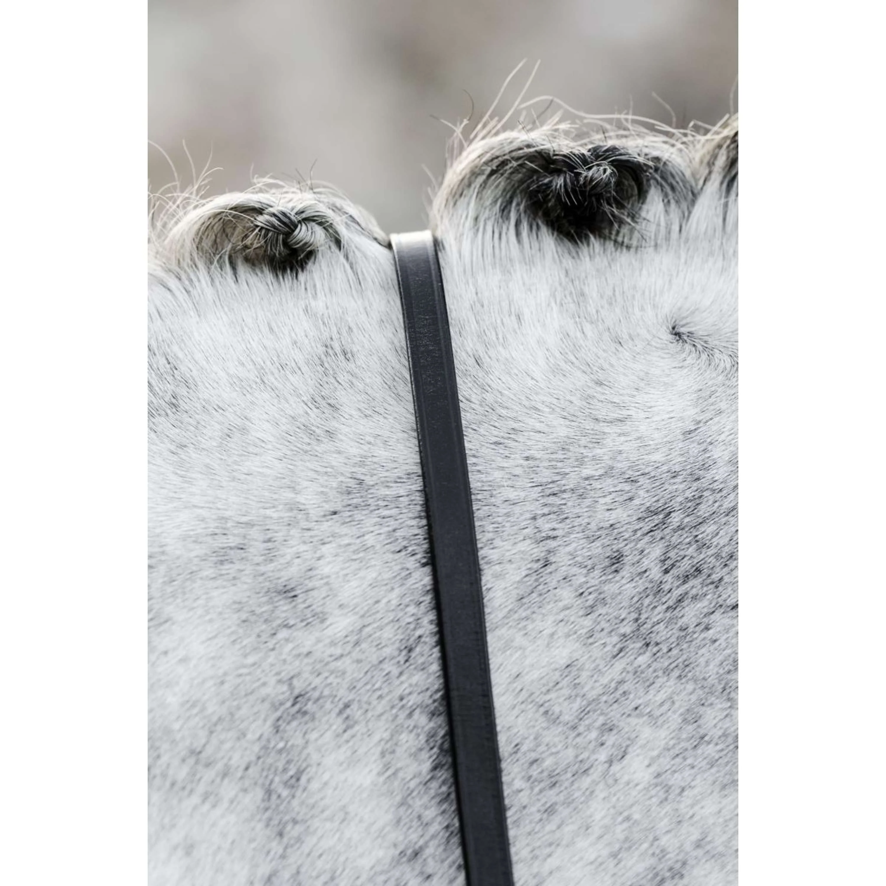Horseware Zügel Schwarz - Image 3