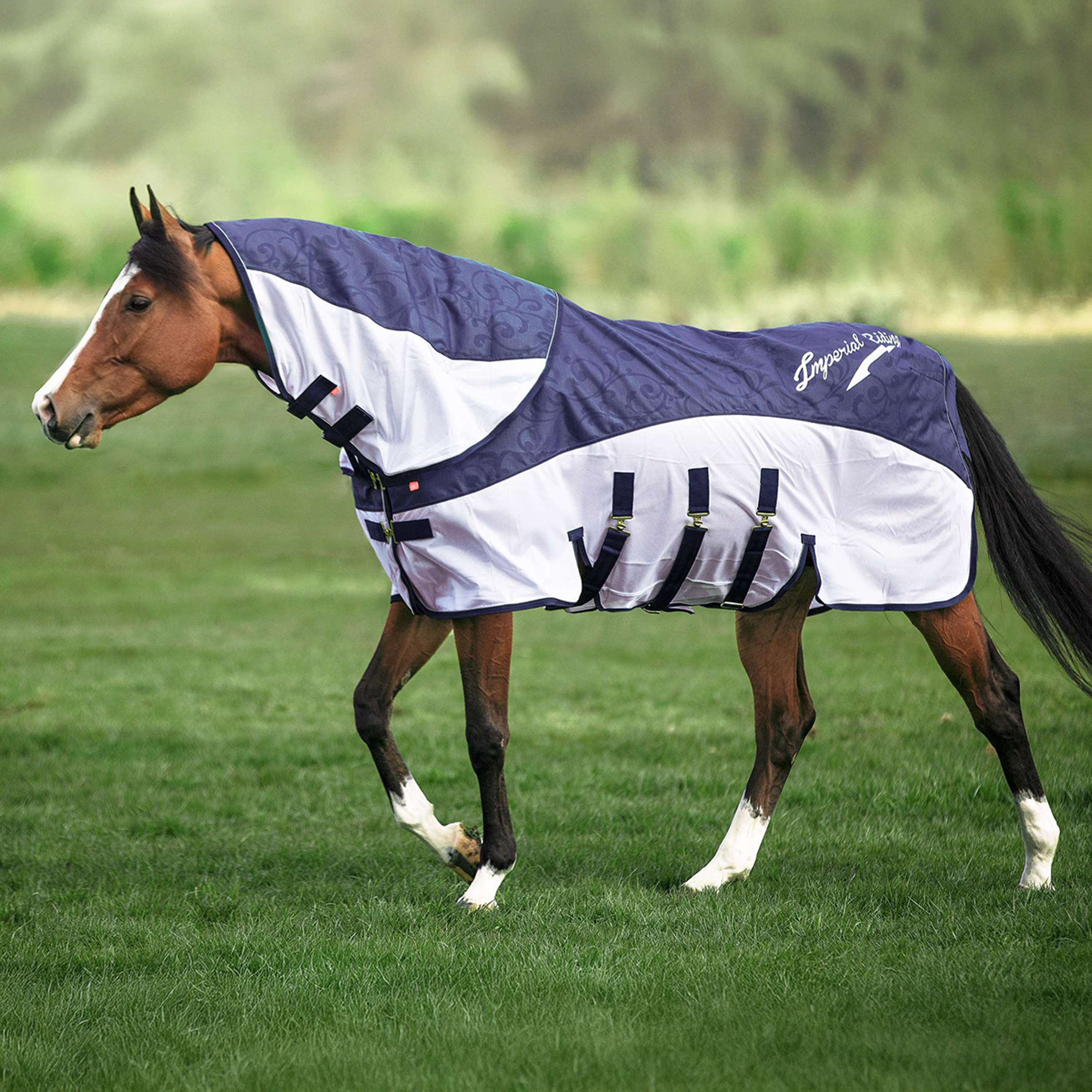 Imperial Riding Fliege und Regenschutzdecke IRHSuper-Dry Navy - Image 12