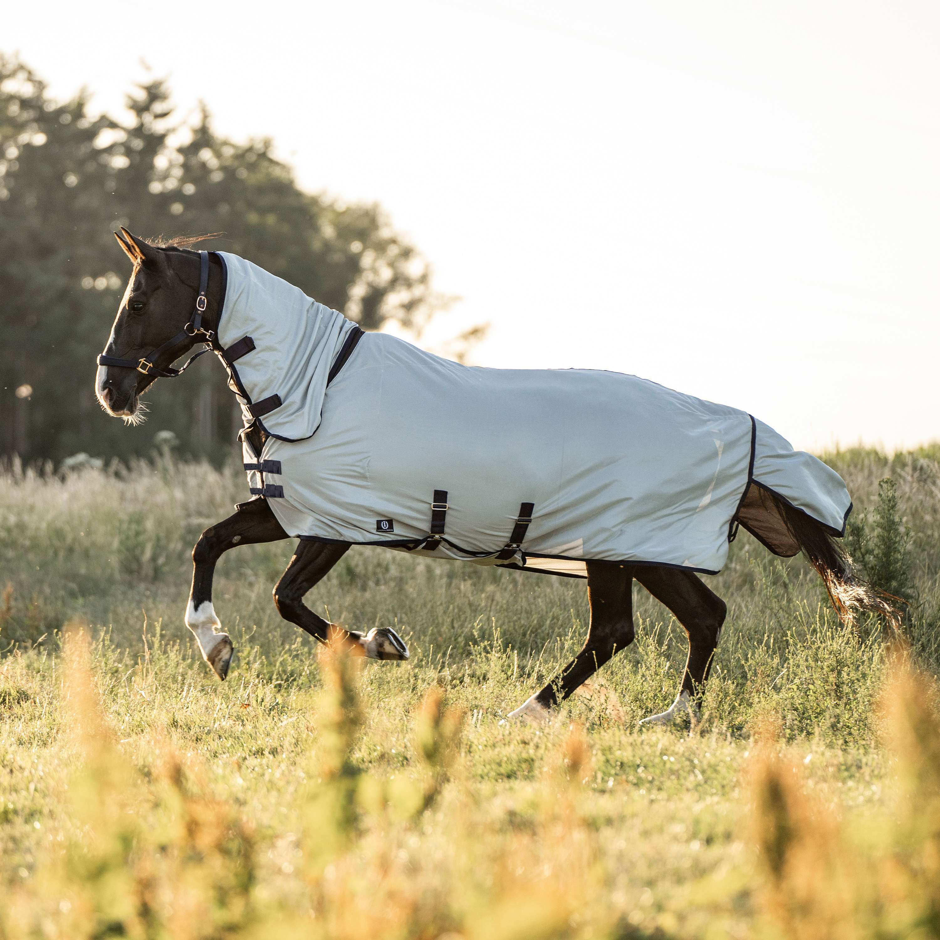 Imperial Riding Fliegendecke IRHReese Silber Grau - Image 4