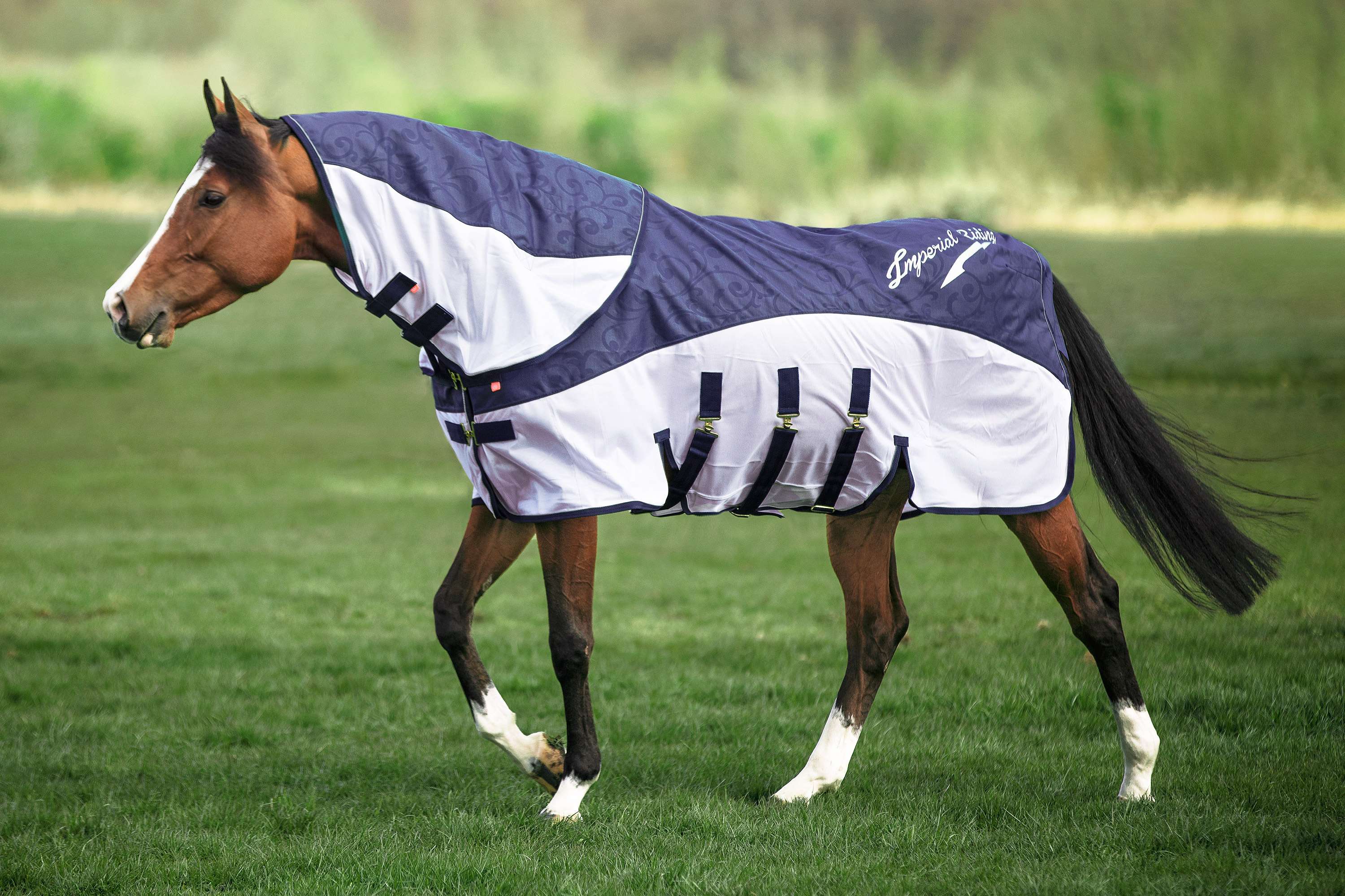 Imperial Riding Halsstück IRHSuper-Dry Navy - Image 2