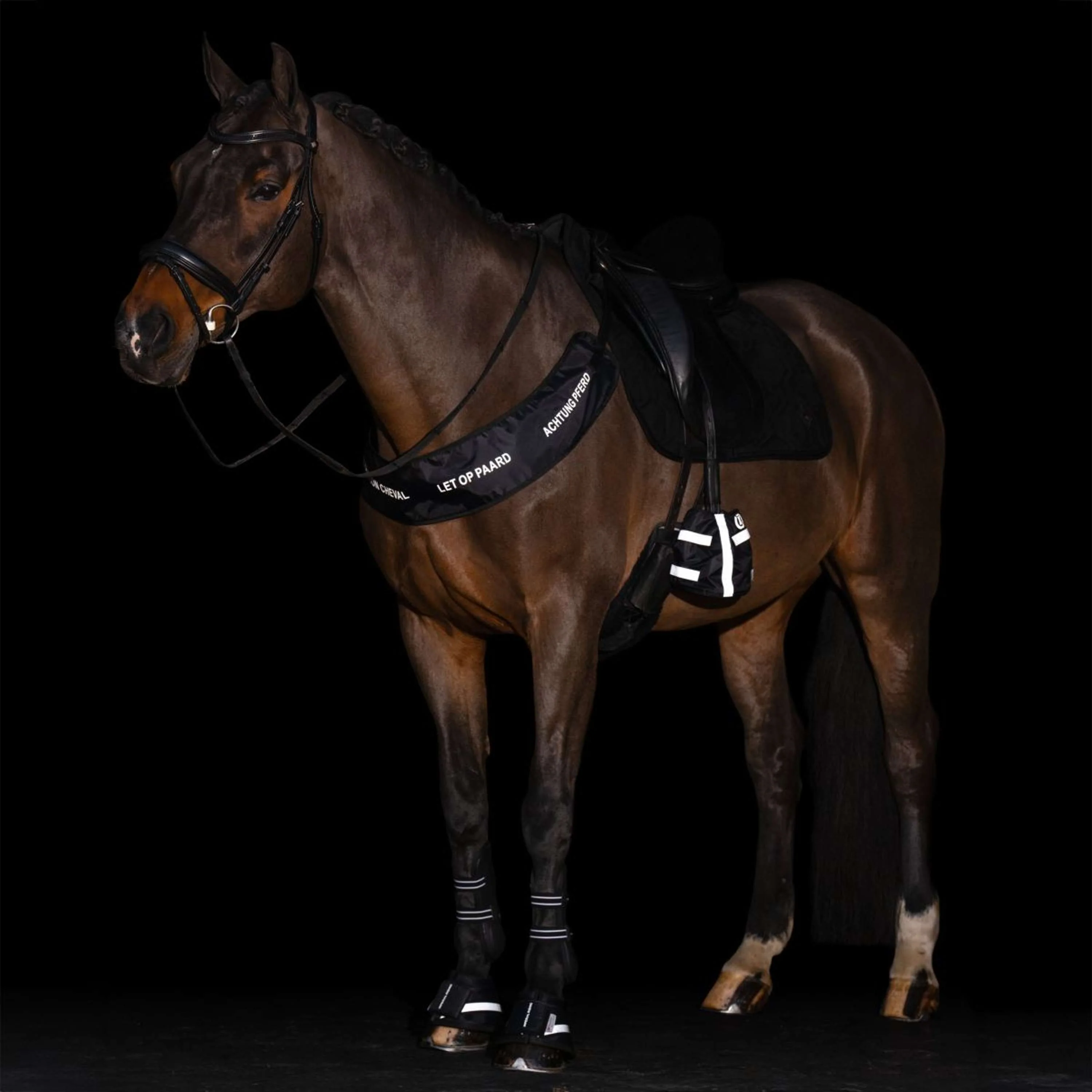 Imperial Riding Hufglocken IRHReflective Schwarz - Image 4
