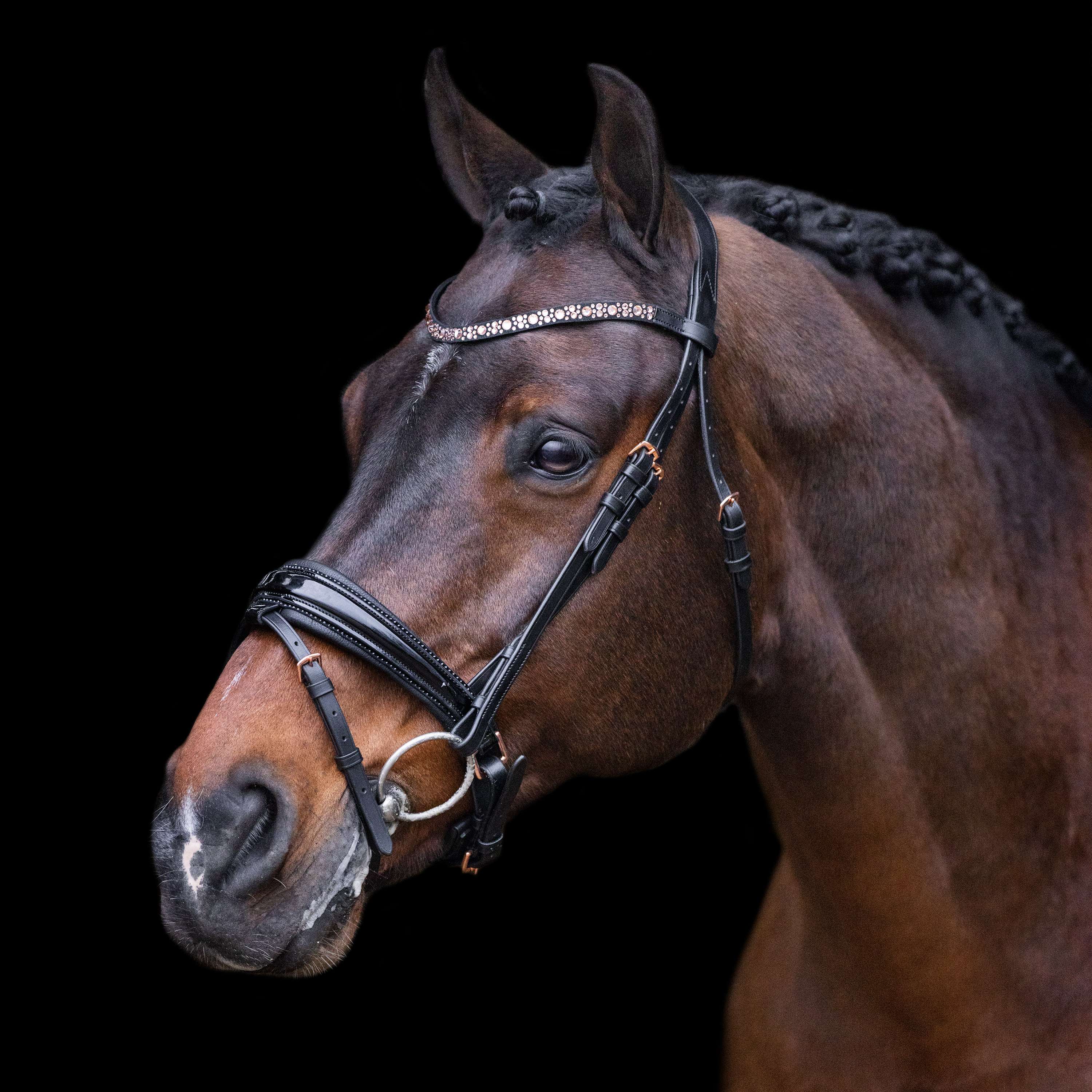 Imperial Riding Zaum IRHOlympia Schwarz/Rosegold