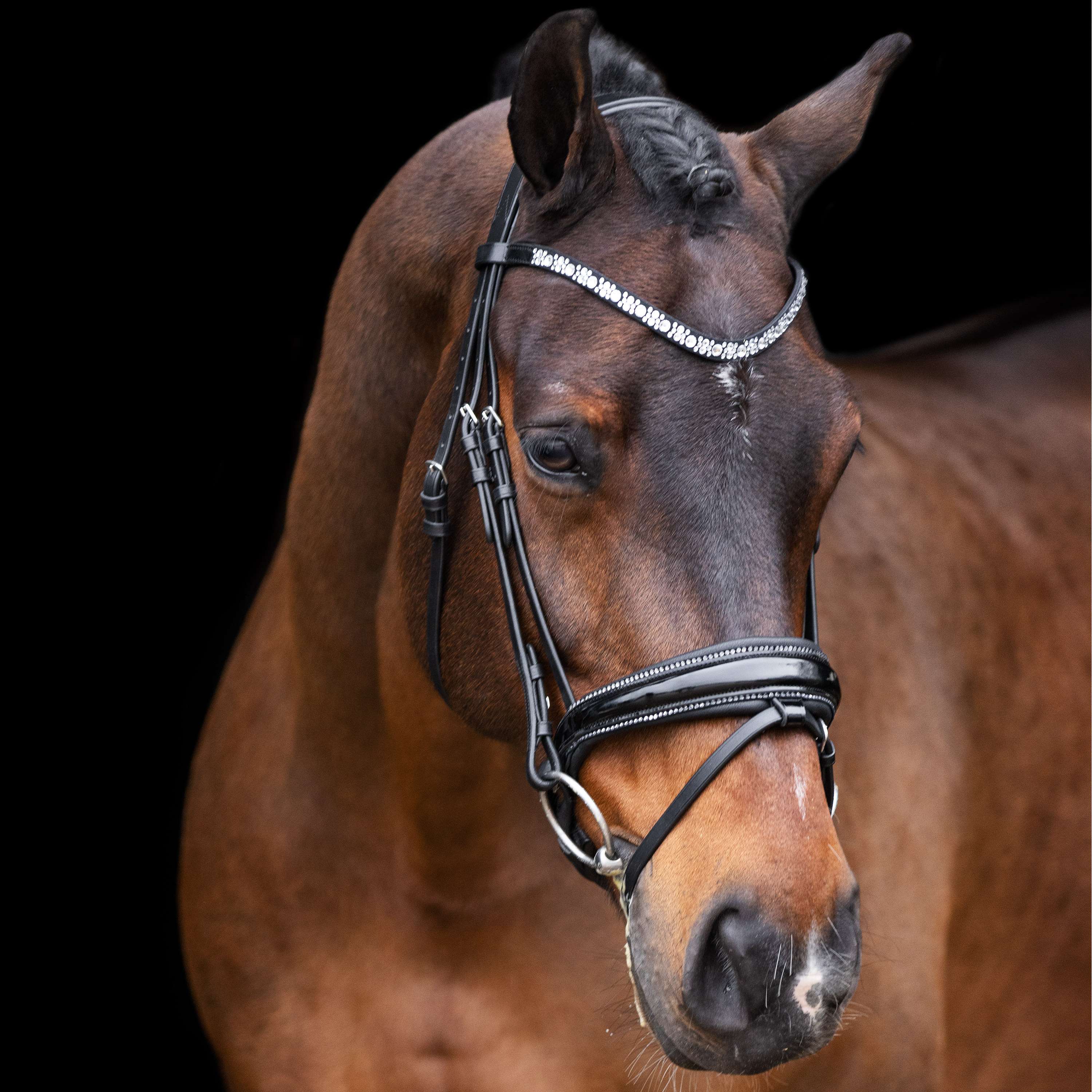 Imperial Riding Zaum IRHOlympia Schwarz/Silber - Image 4