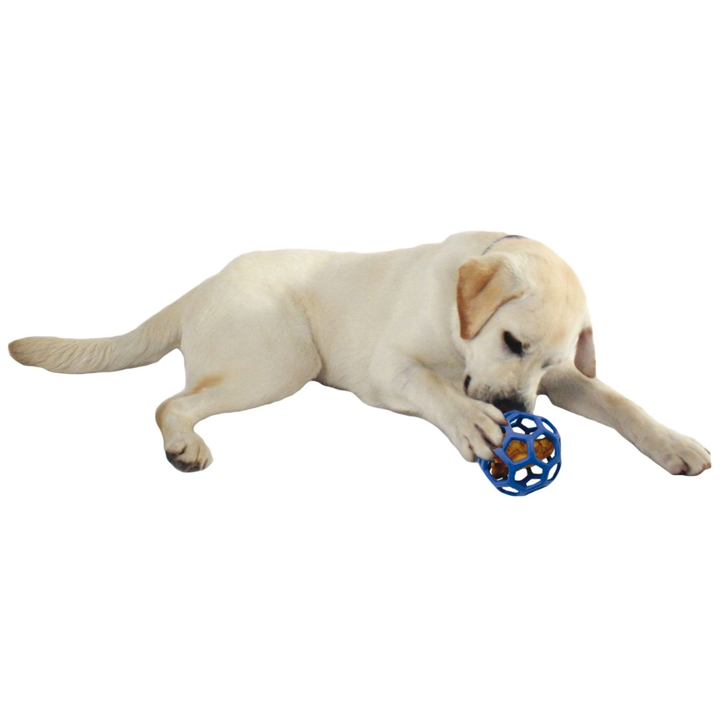 JW Spielball HOL-EE Roller Jumbo Assorti - Image 2